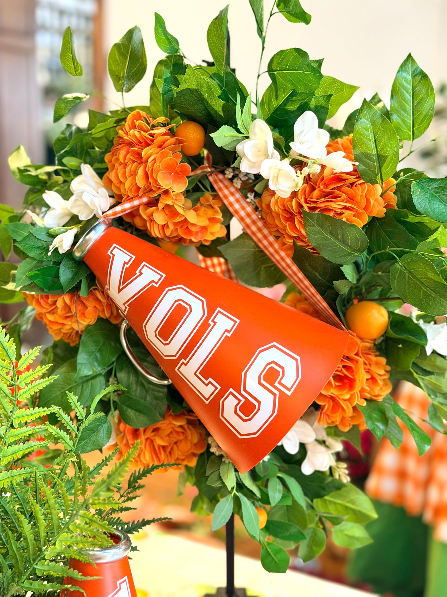 “VOLS” Megaphone