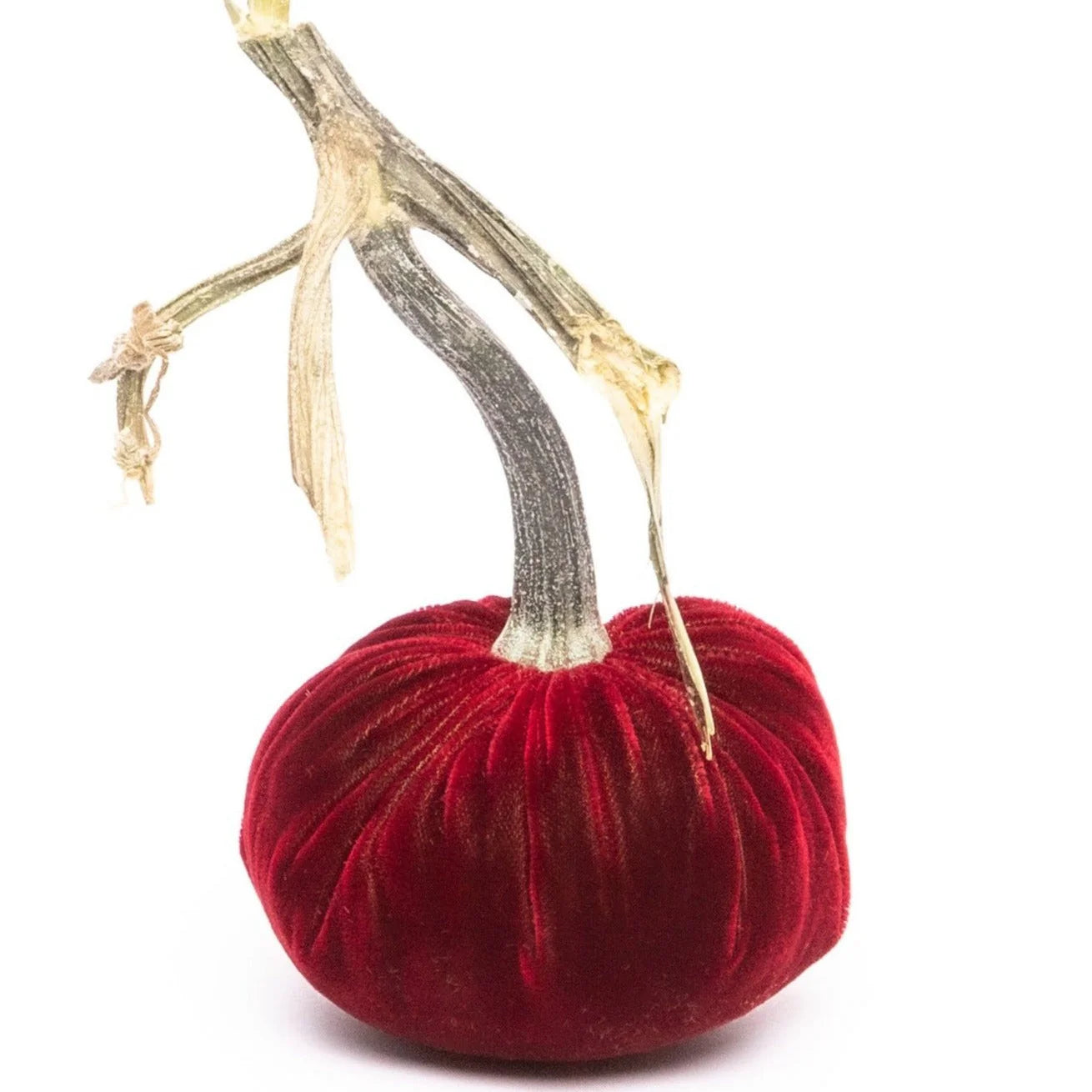 4” Silk Velvet Hot Skwash Pumpkin