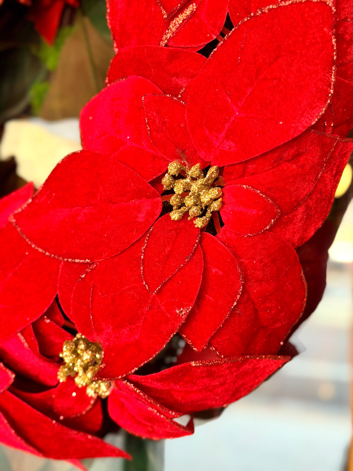 GLITTER POINSETTIA WREATH