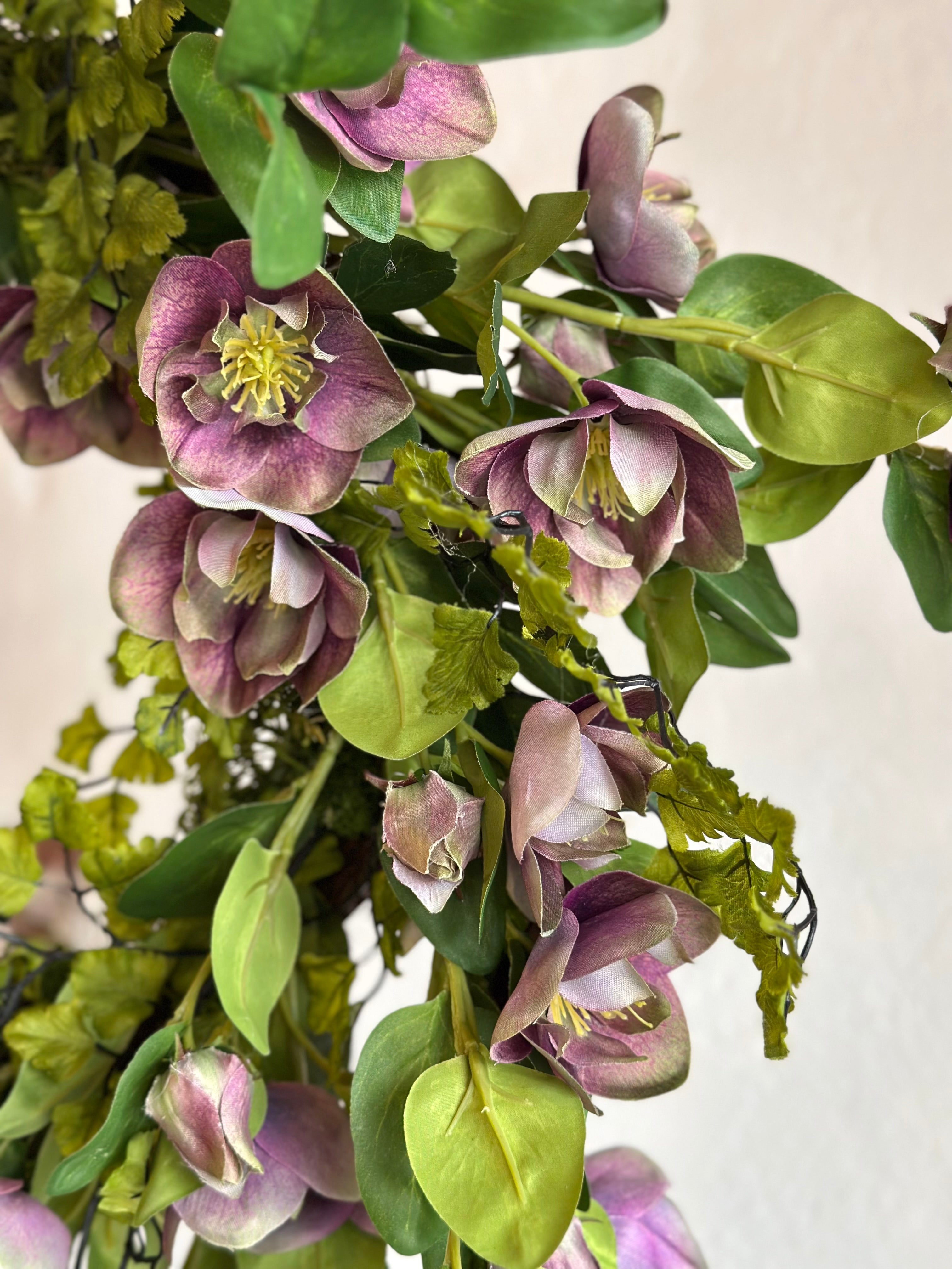 Helleborus Wreath