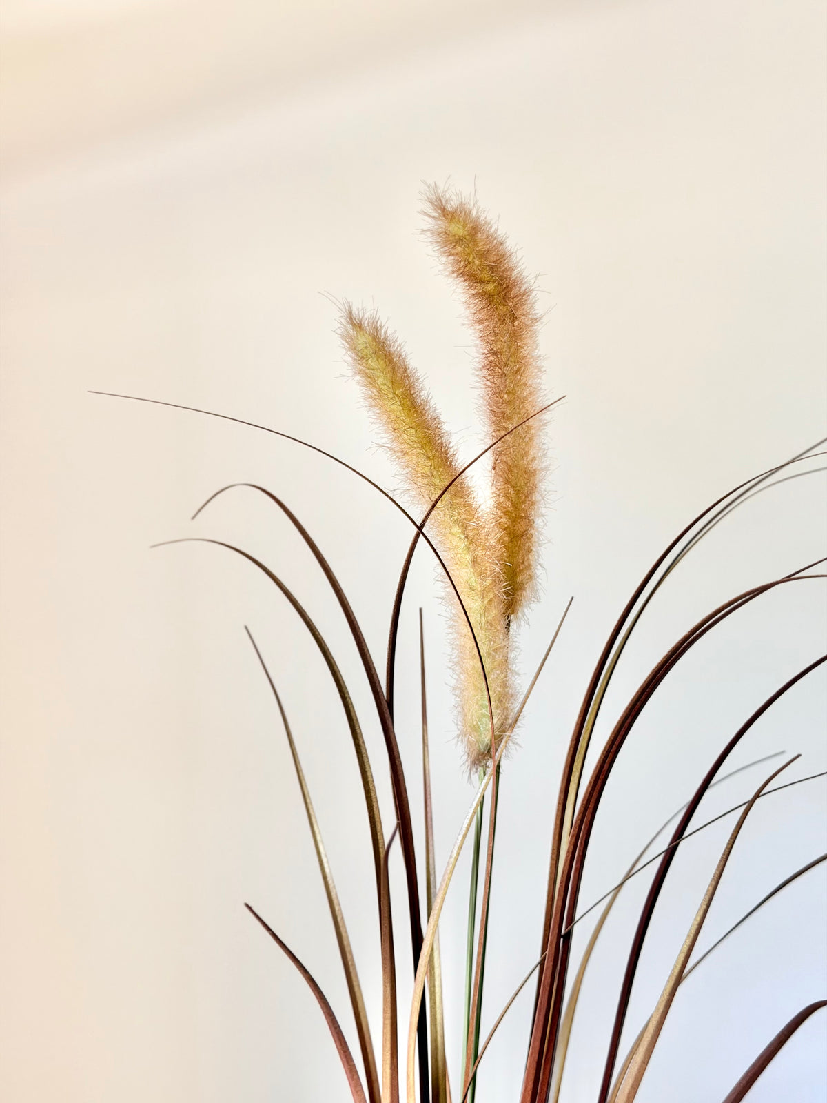 36" UV AUTUMN FOUNTAIN PLUME GRASS SPRAY
