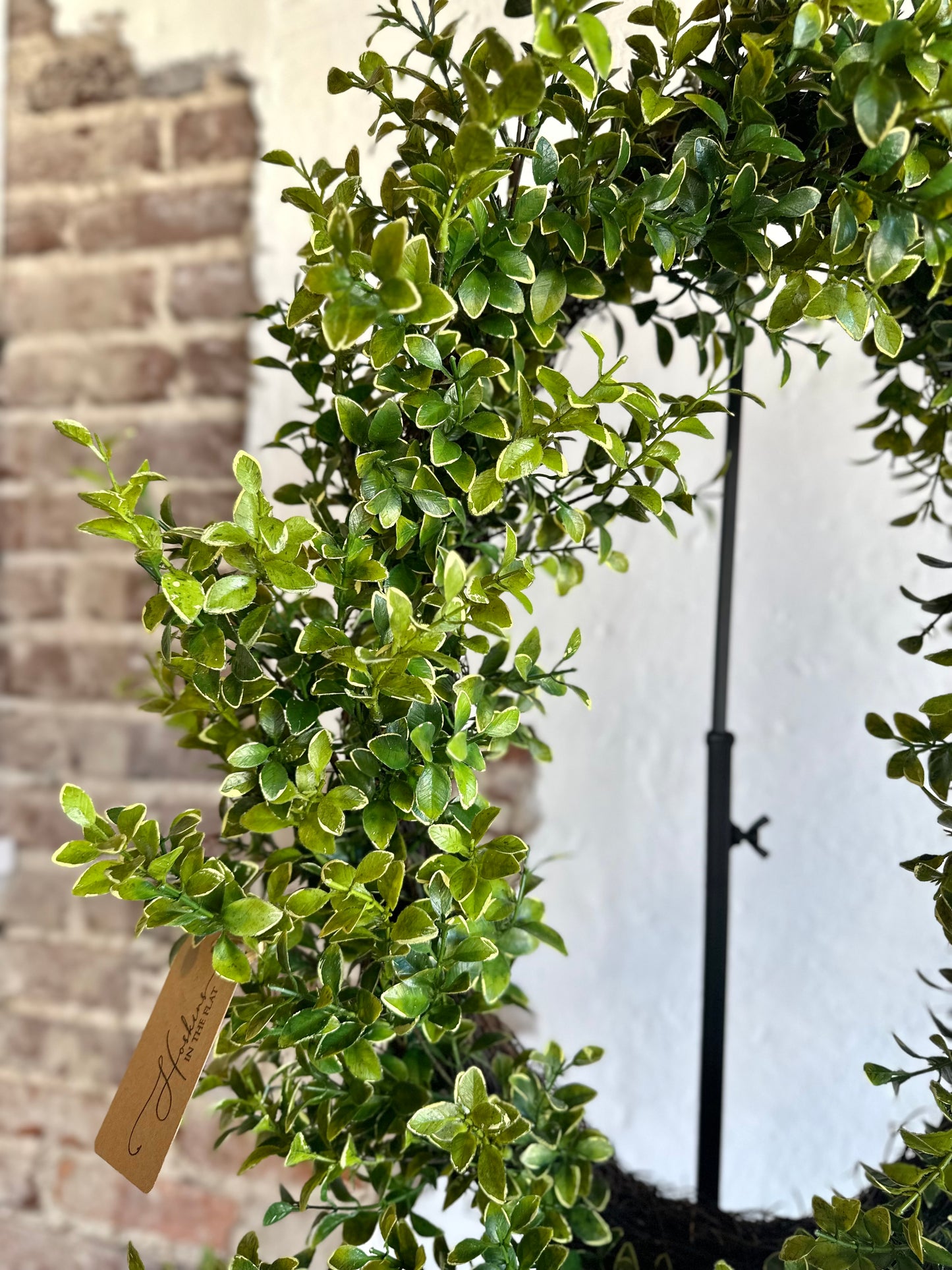 26" Oval Boxwood Wreath
