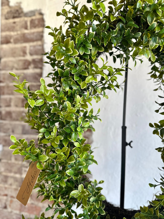 26" Oval Boxwood Wreath