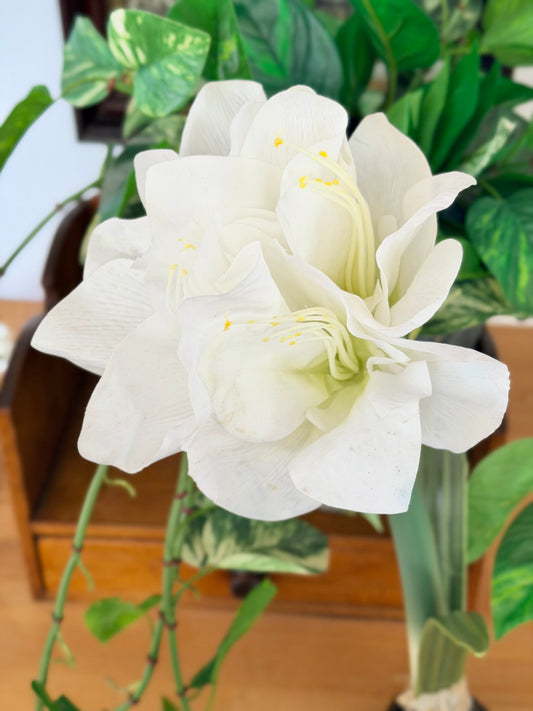 19" Real Touch White Amaryllis Bulb