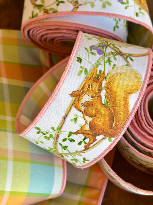 Mrs. Tiggy-Winkle & Squirrel Nutkin Ribbon