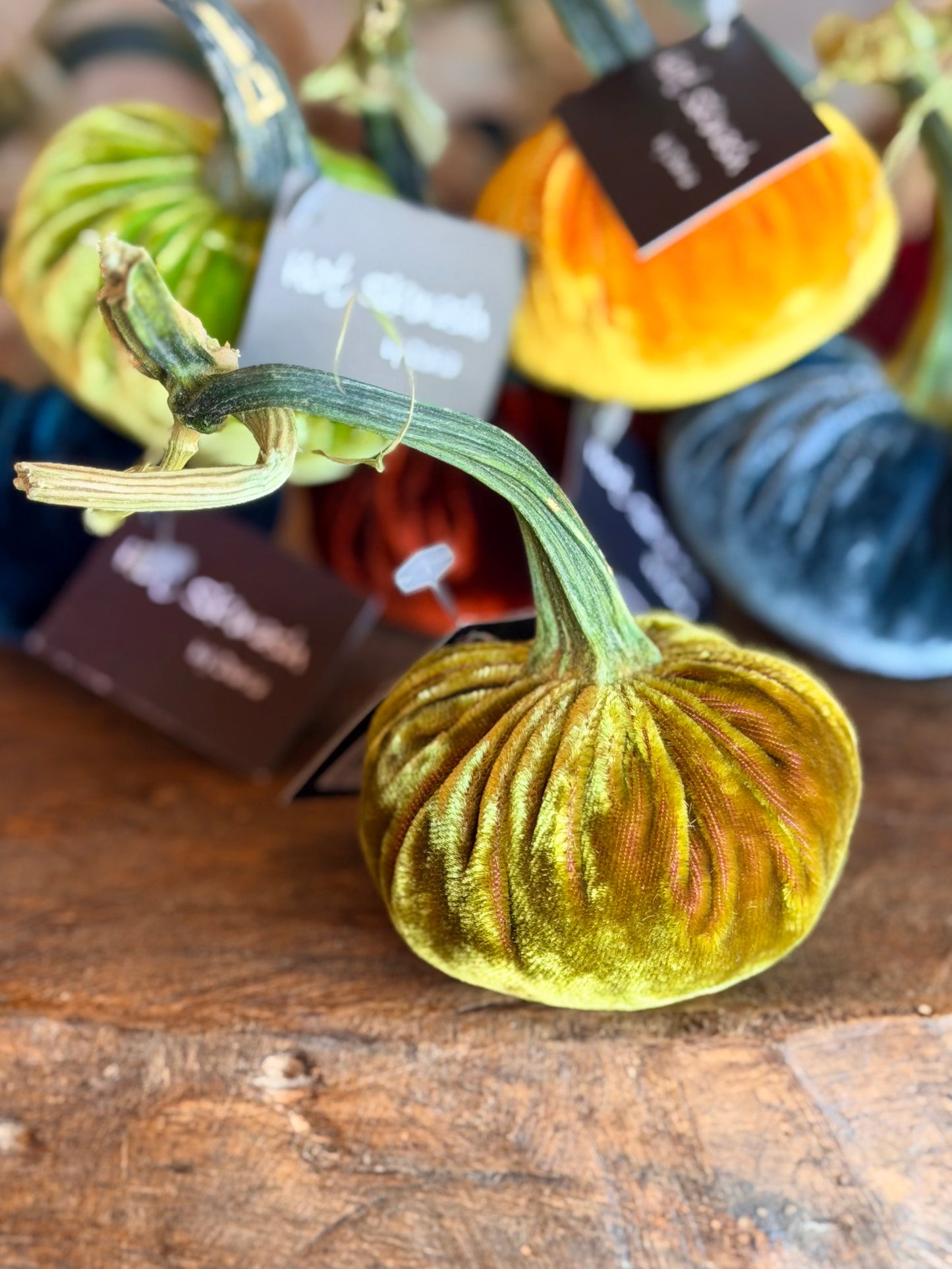 3" Velvet Pumpkin (Silk Options)