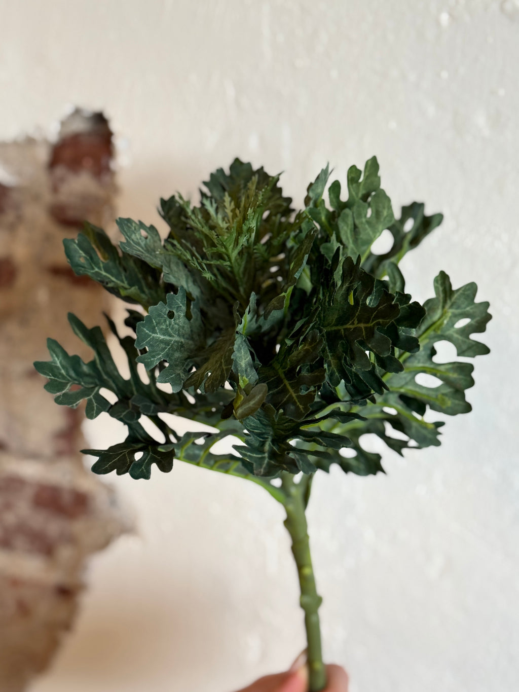 19" Green Ornamental Cabbage Stem