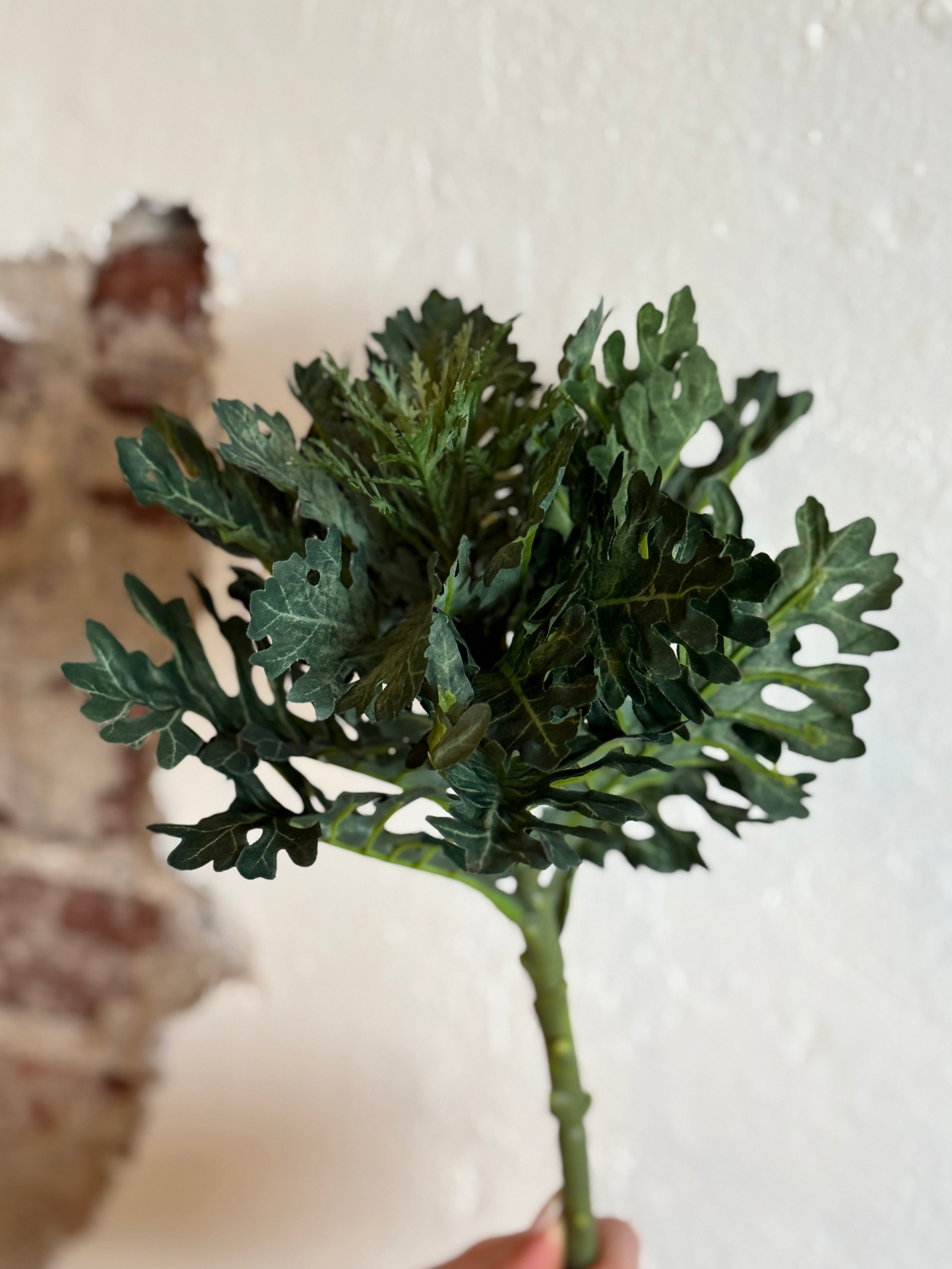 19" Green Ornamental Cabbage Stem