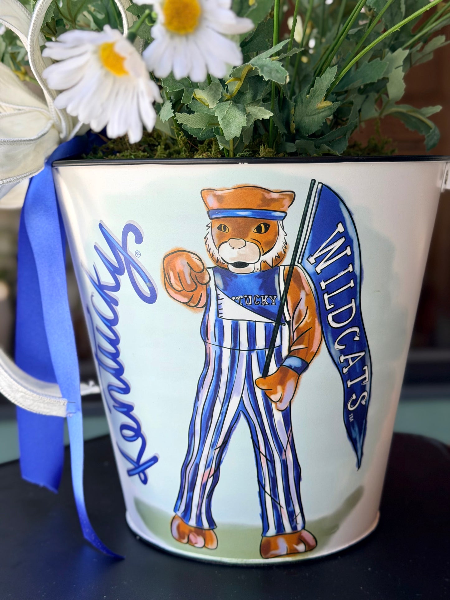 UK Daisy Bucket