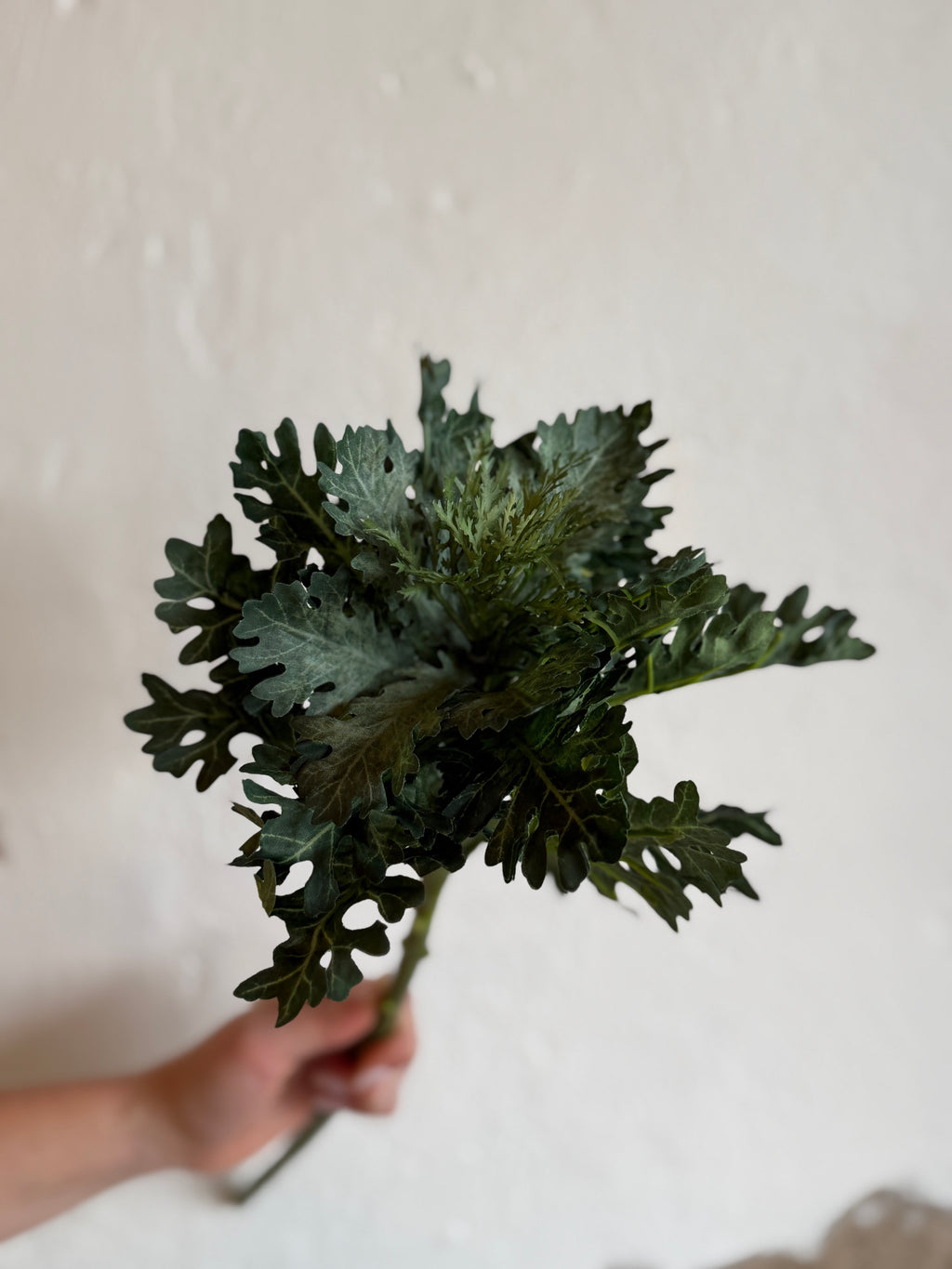 19" Green Ornamental Cabbage Stem