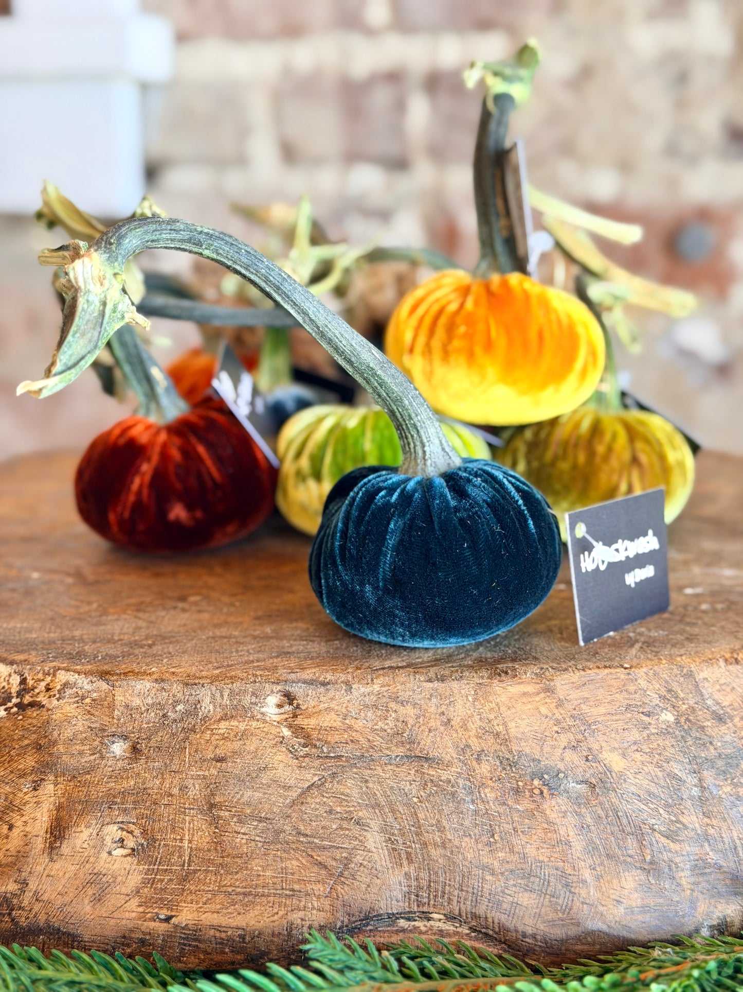 3" Velvet Pumpkin (Silk Options)