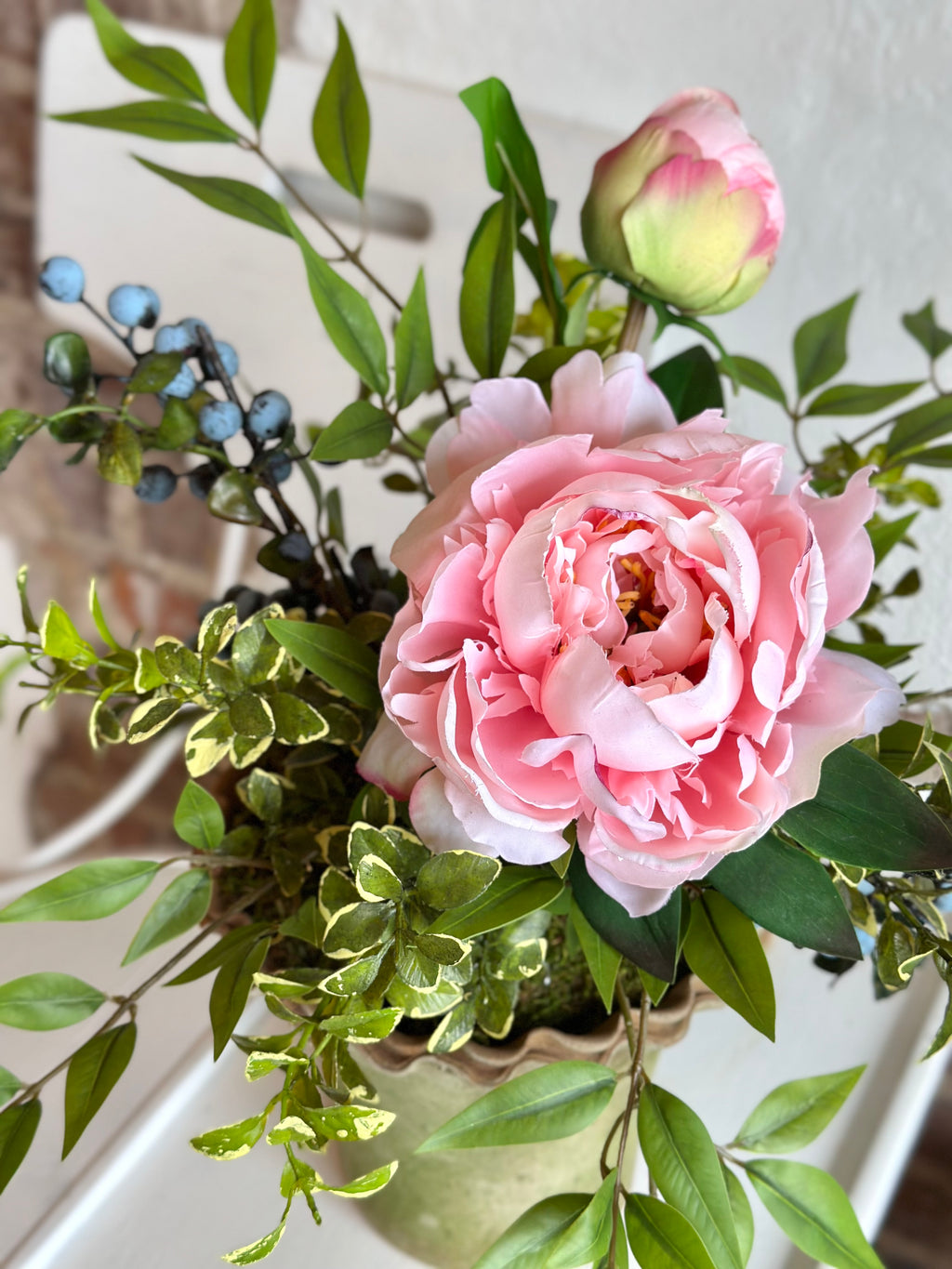 Peony Berry in Terracotta