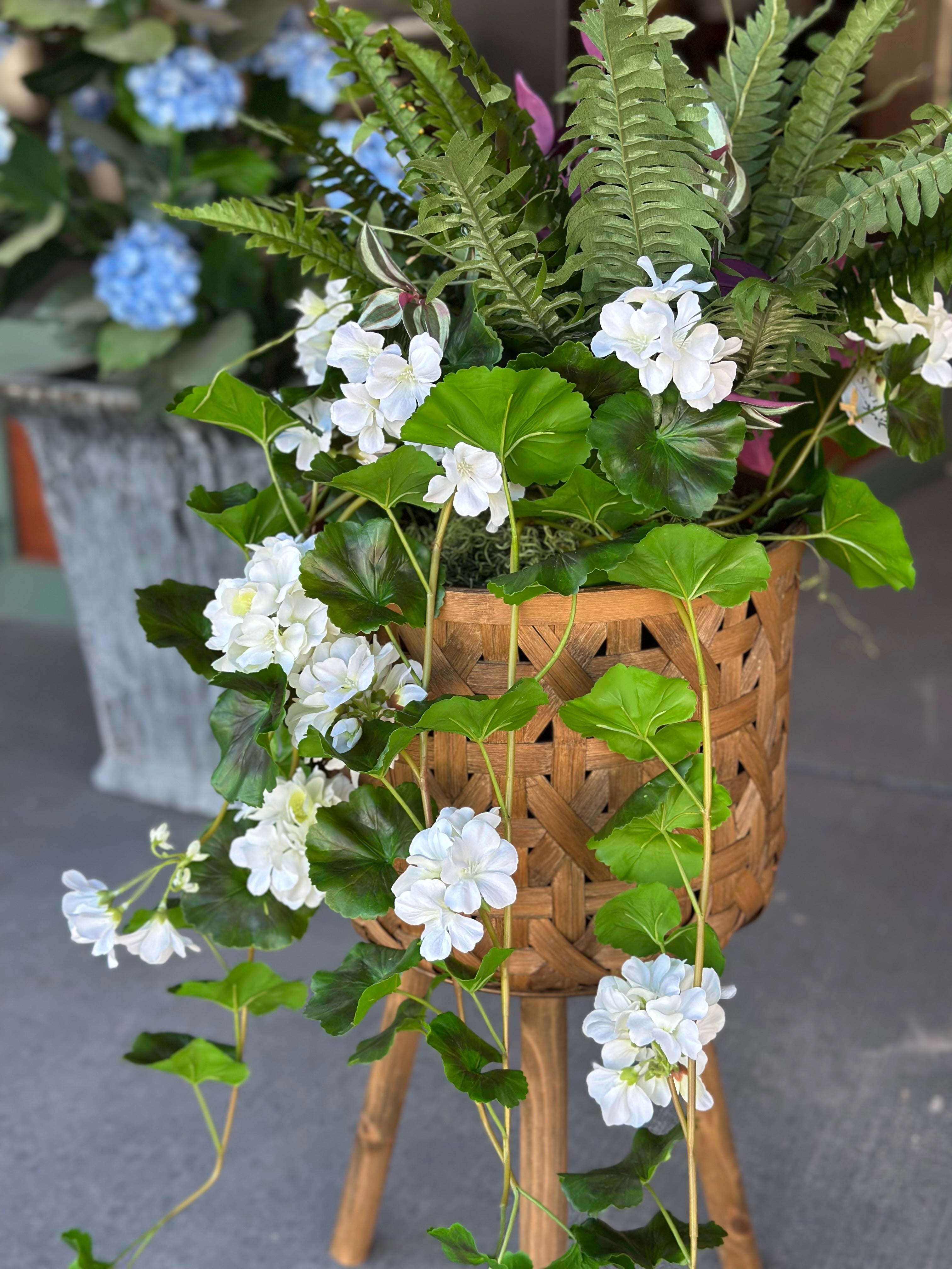 8" Hanging Geranium, Fern, & Tradescantia Pot Filler