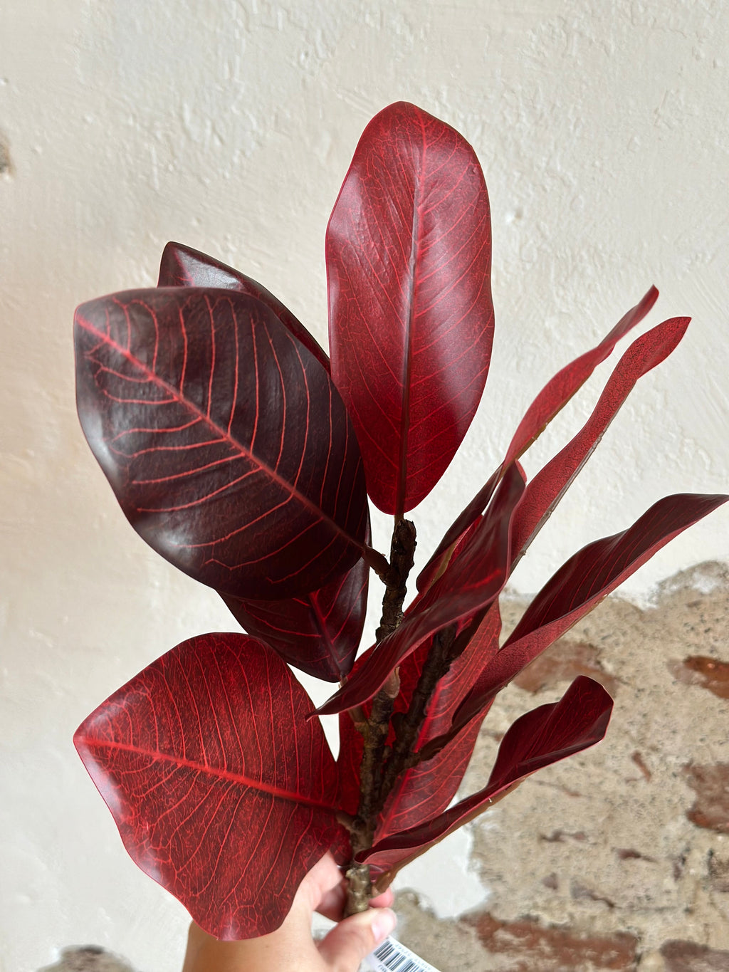 32” Burgundy Magnolia Spray