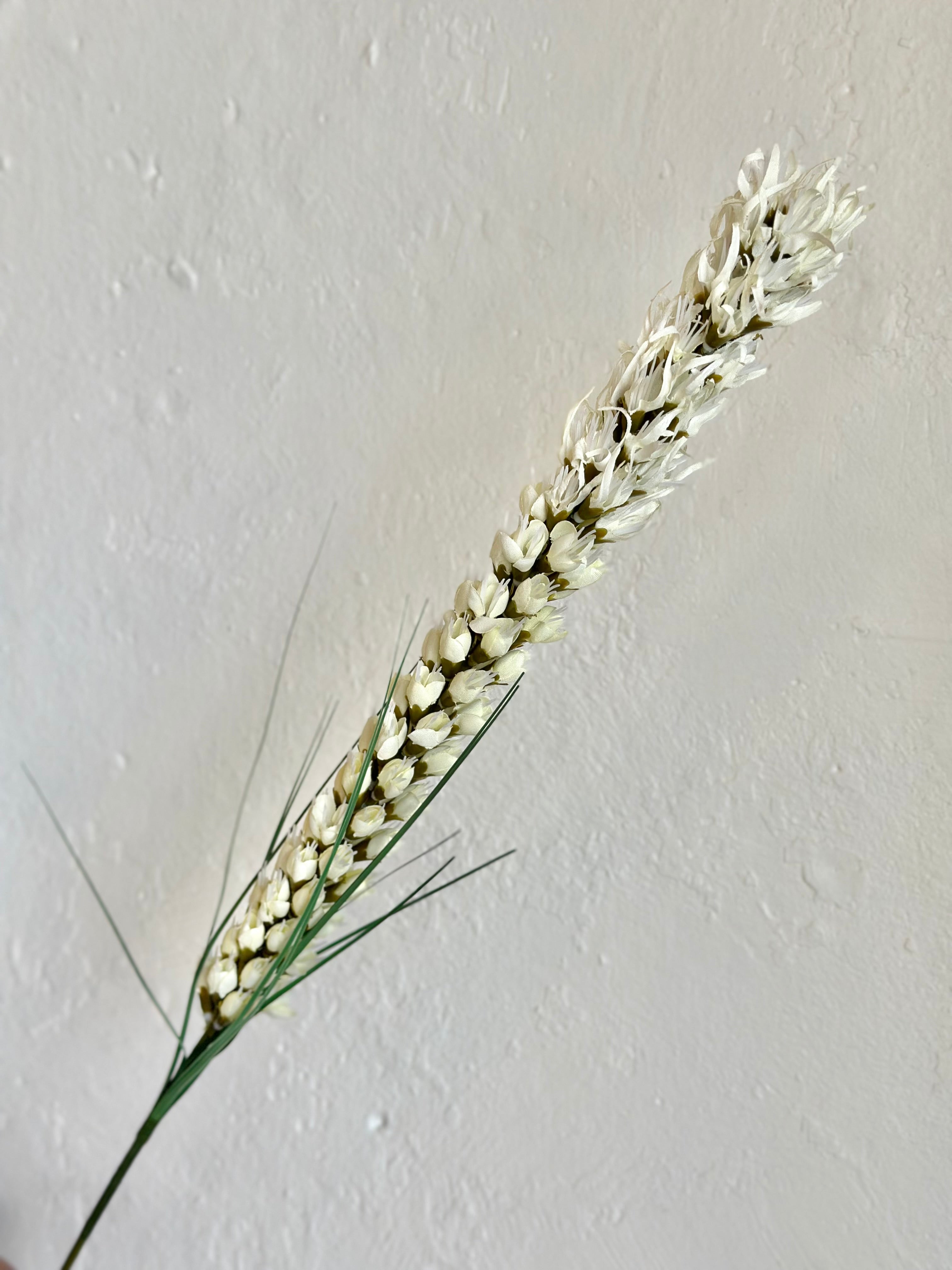 LIATRIS SPRAY 26" CREAM