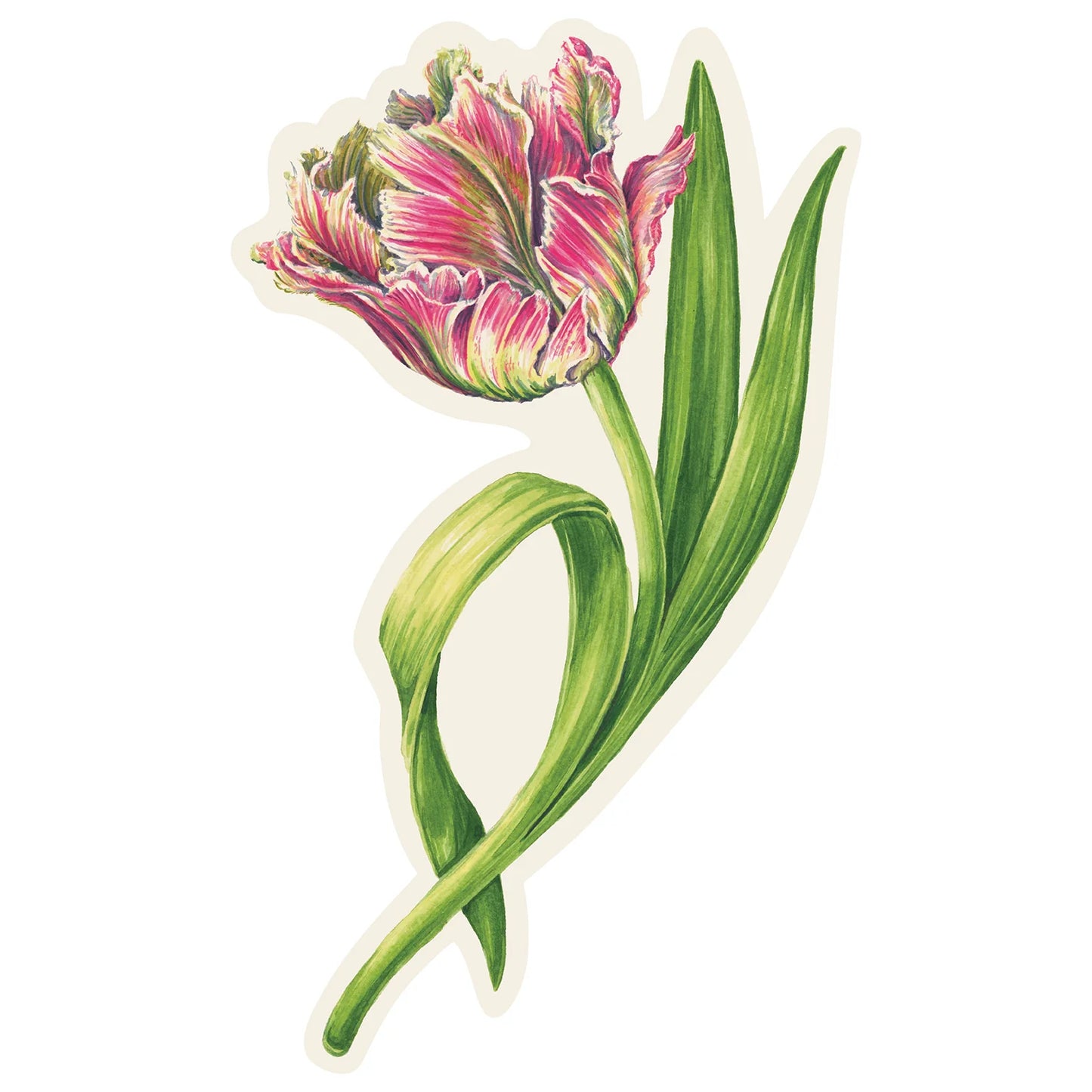 Hester & Cook Parrot Tulip Table Accent