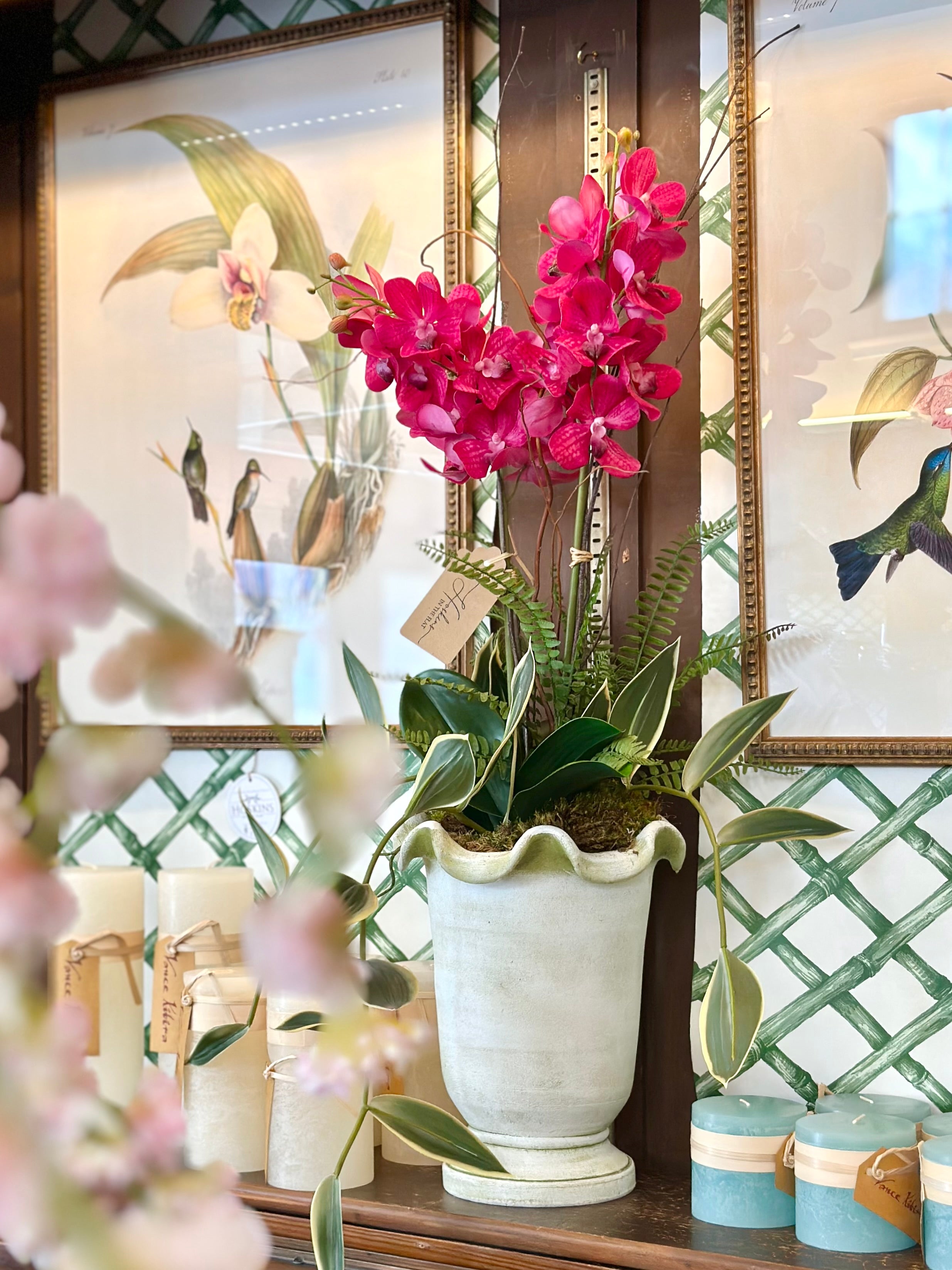 Pink Orchid & Bamboo