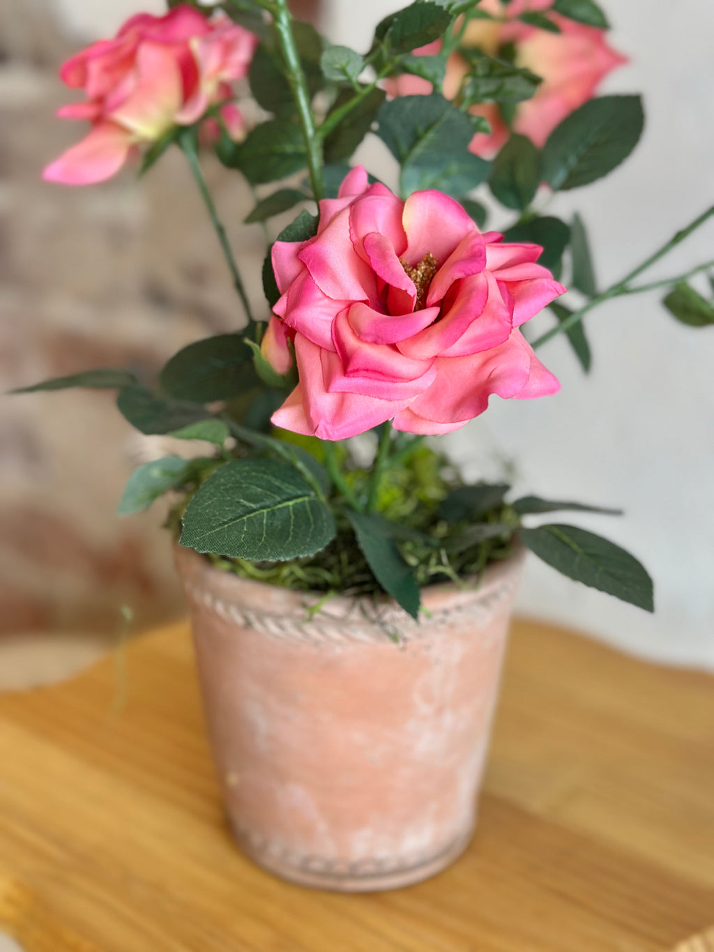 Pink Potted Roses