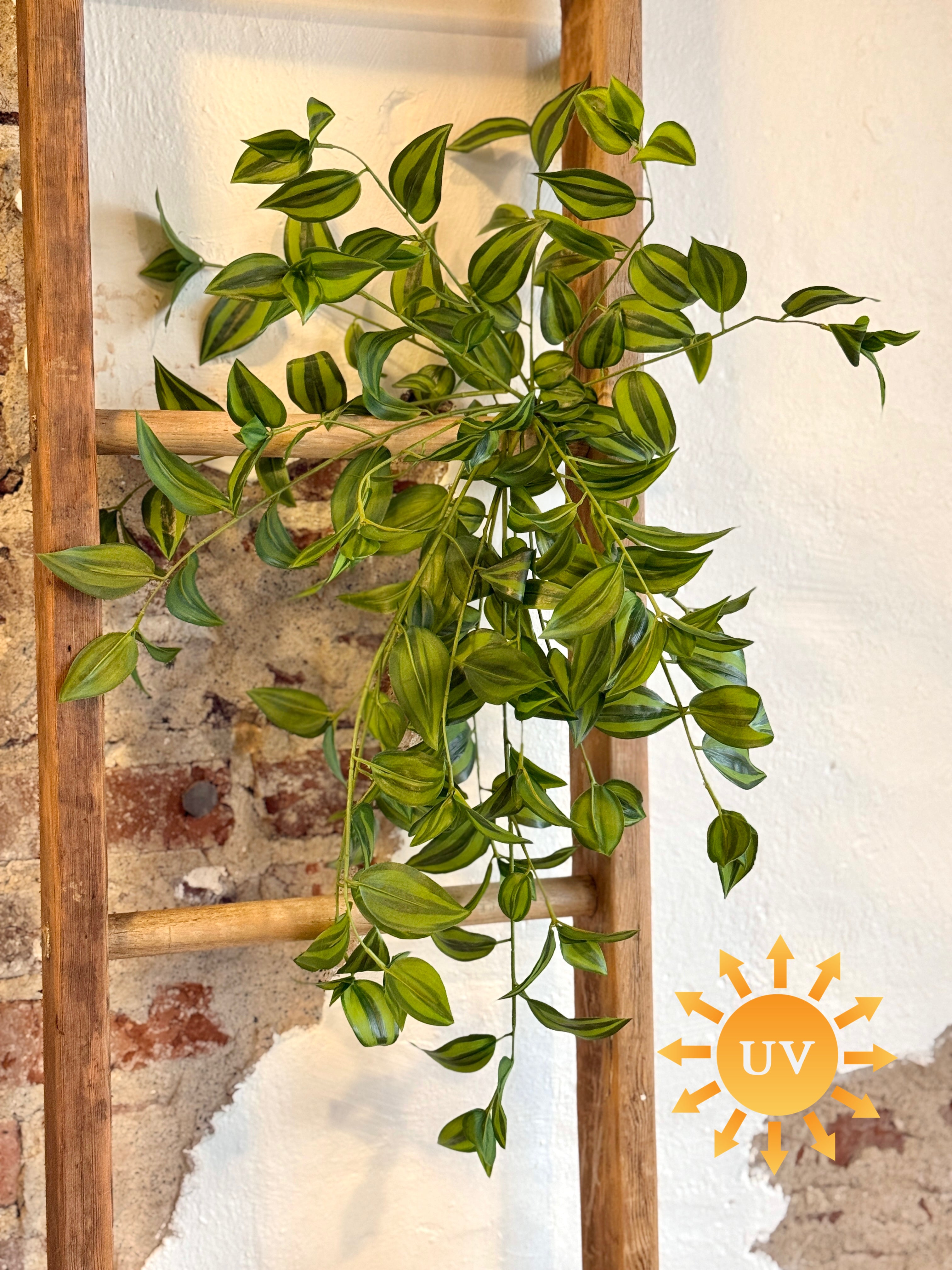 31” UV NATURAL TOUCH HANGING TRADESCANTIA