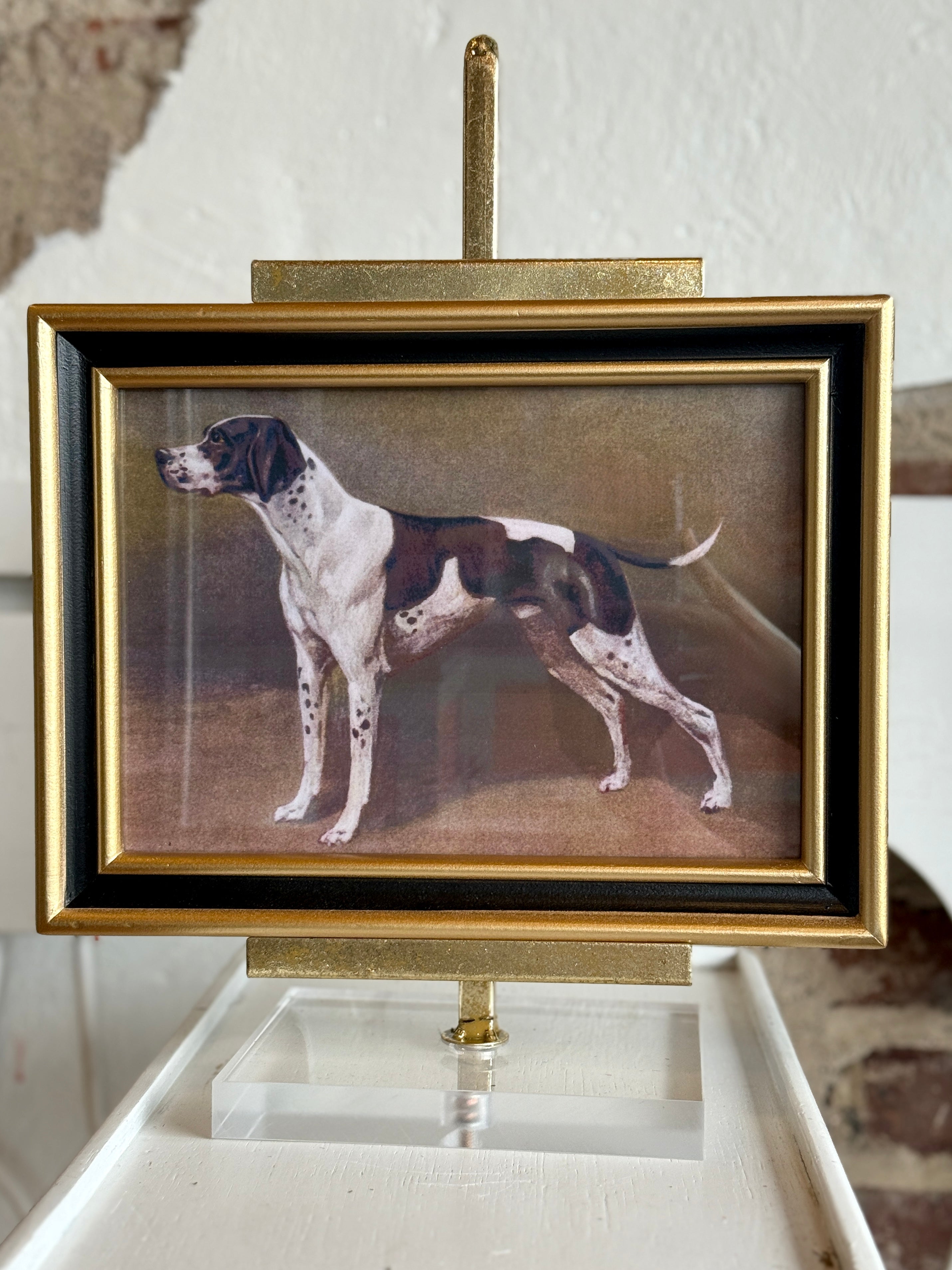 Classic Sporting Dog Framed Print
