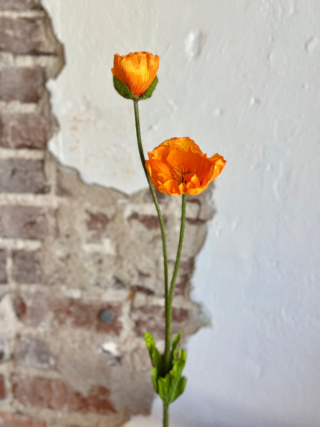 29" Summer Poppy + Bud- Orange