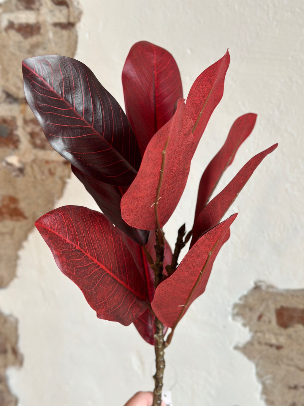 32” Burgundy Magnolia Spray