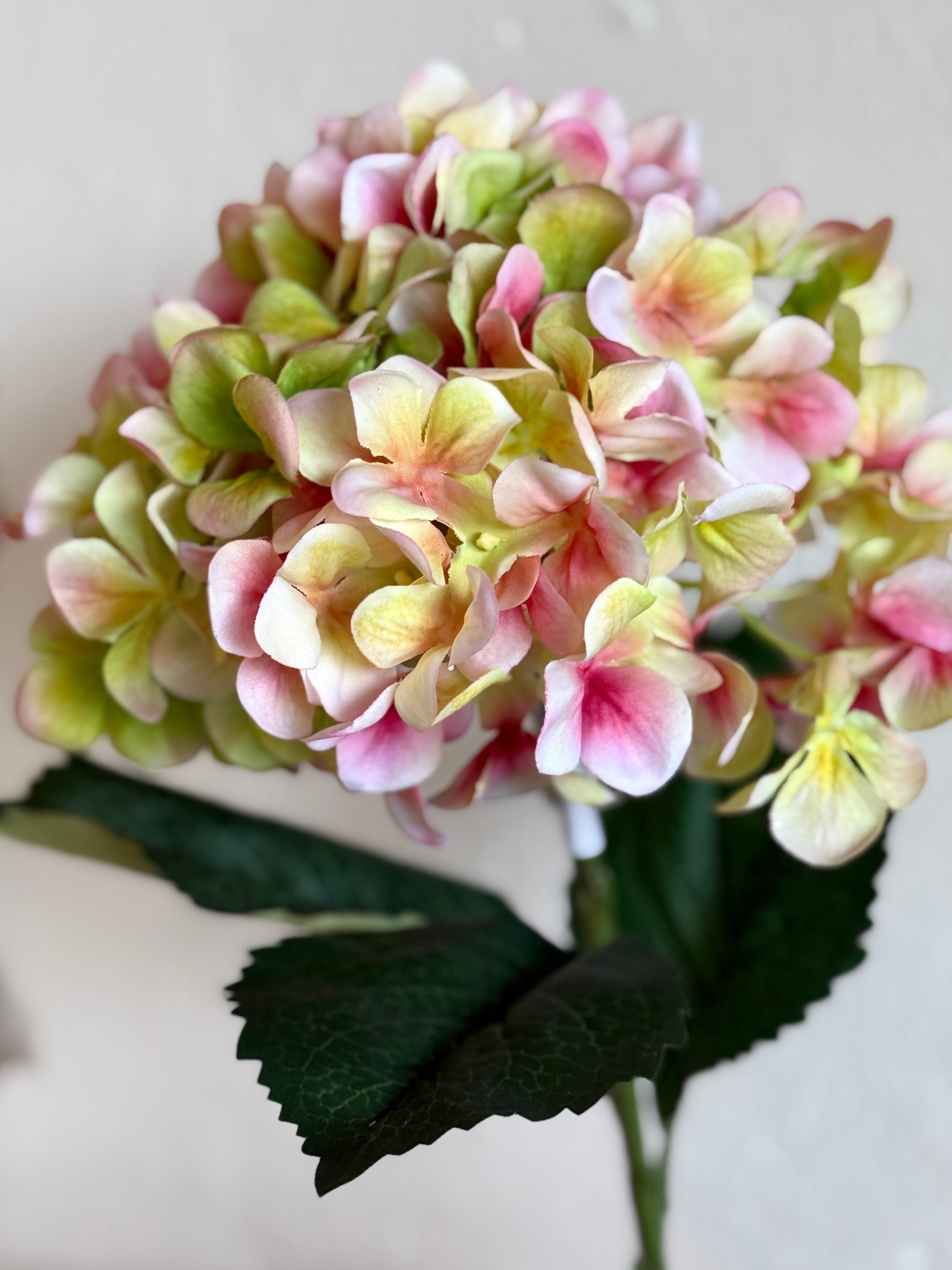 25.5" HYDRANGEA GREEN/PINK