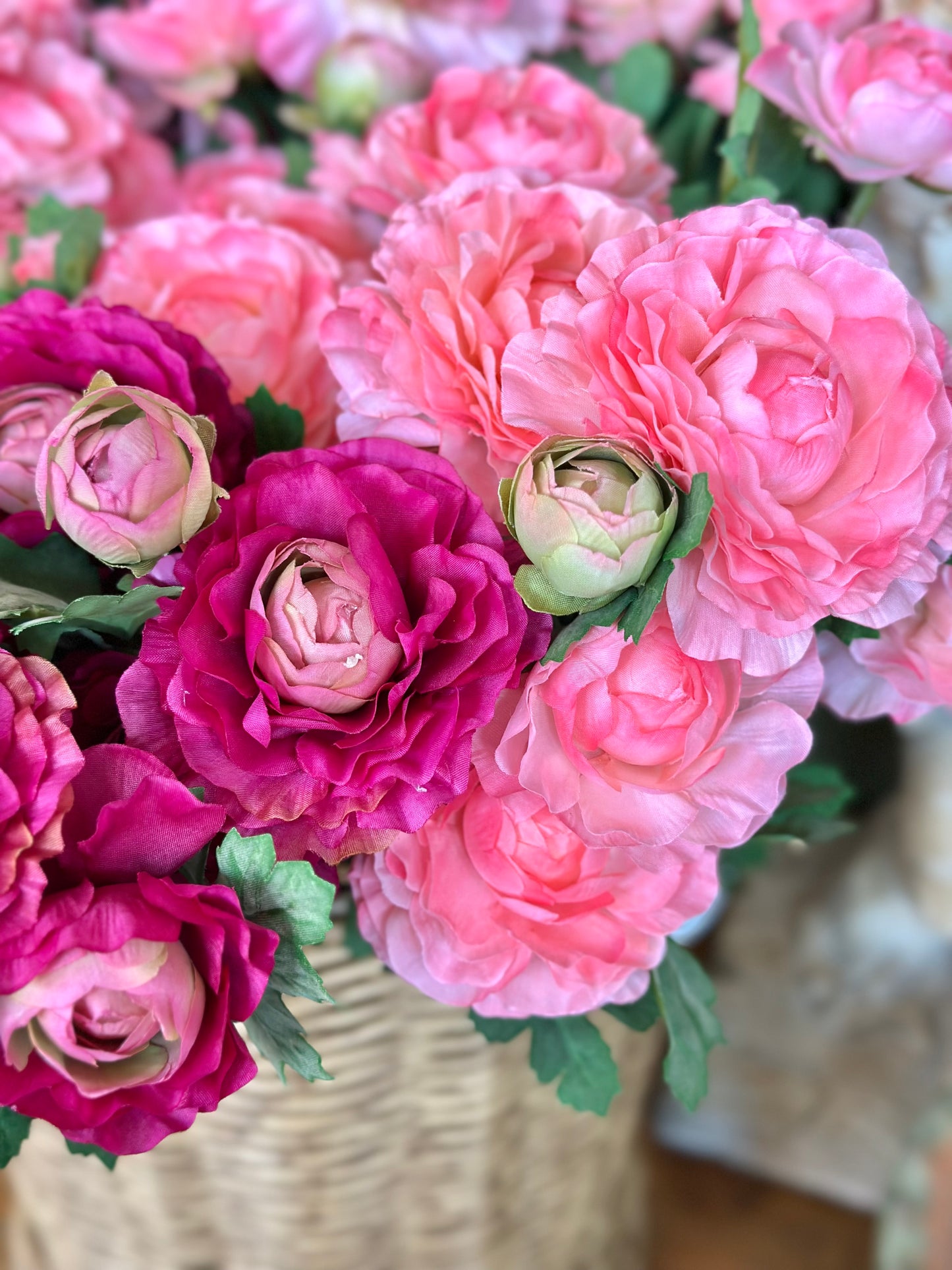 RANUNCULUS PLANT 16" (COLOR OPTIONS)
