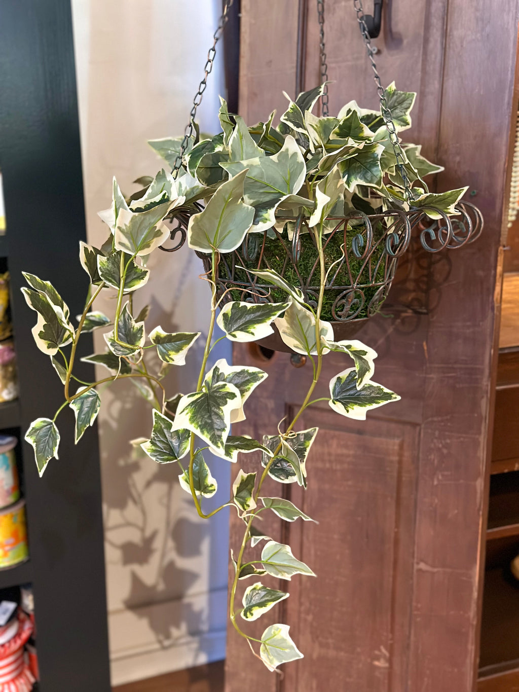 UV-Protected Ivy Hanging Basket