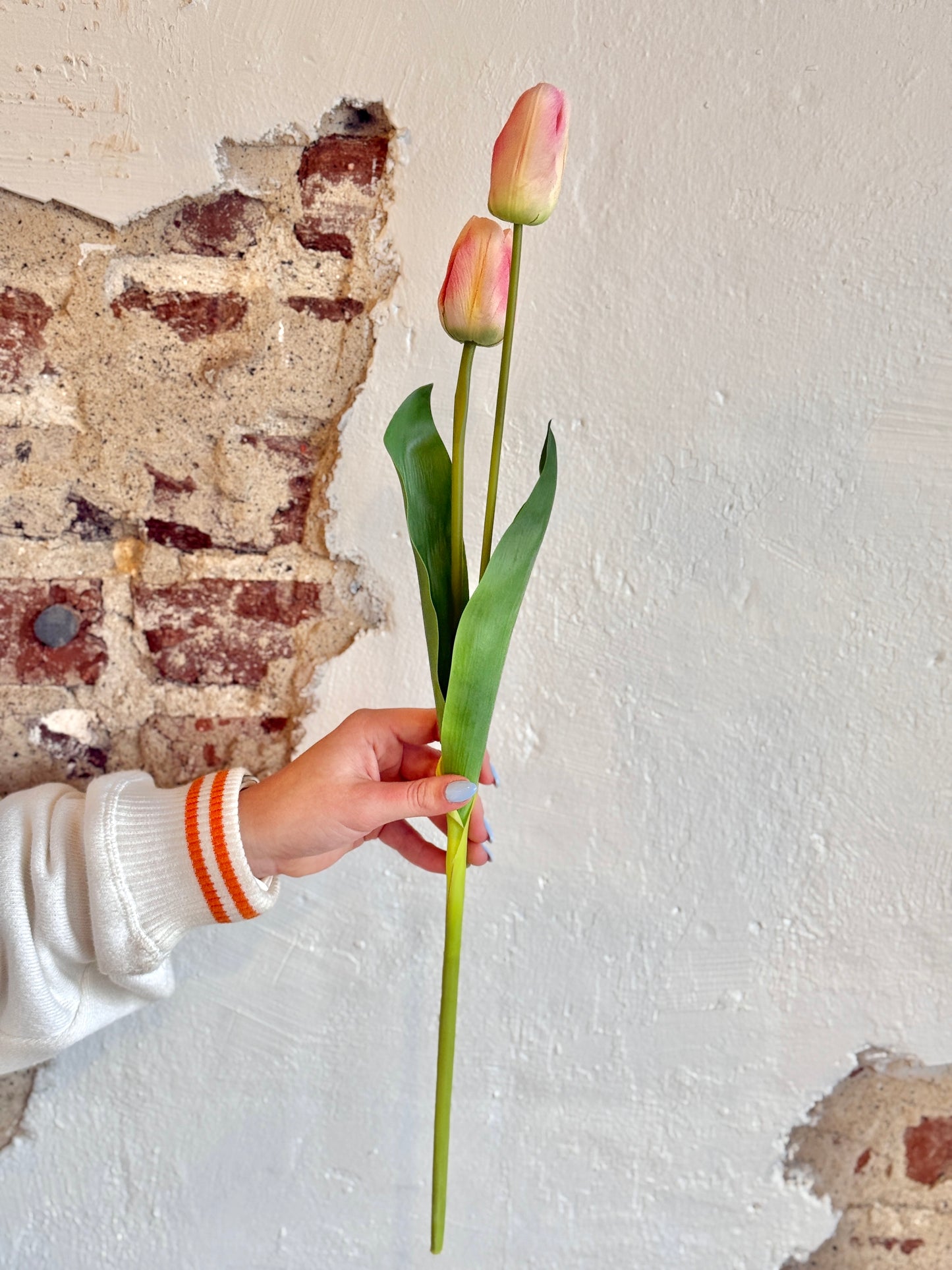 23” NATURAL-TOUCH DARWIN TULIP- PINK