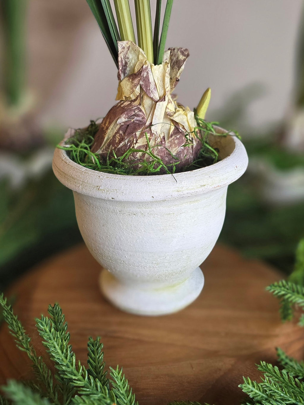 Paperwhite and Bulb Arrangement White Pot (Pot Design Options)