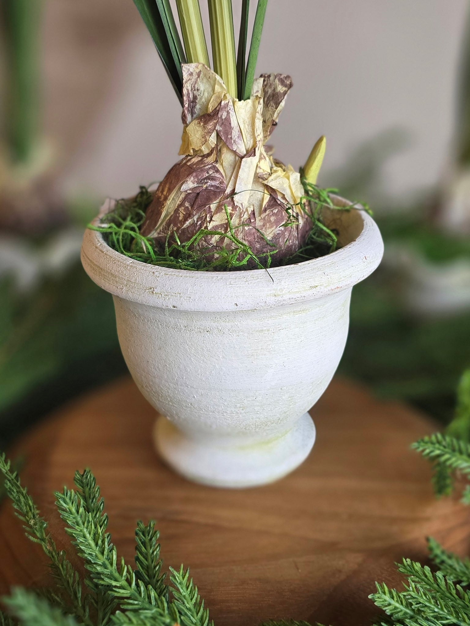 Paperwhite and Bulb Arrangement White Pot (Pot Design Options)