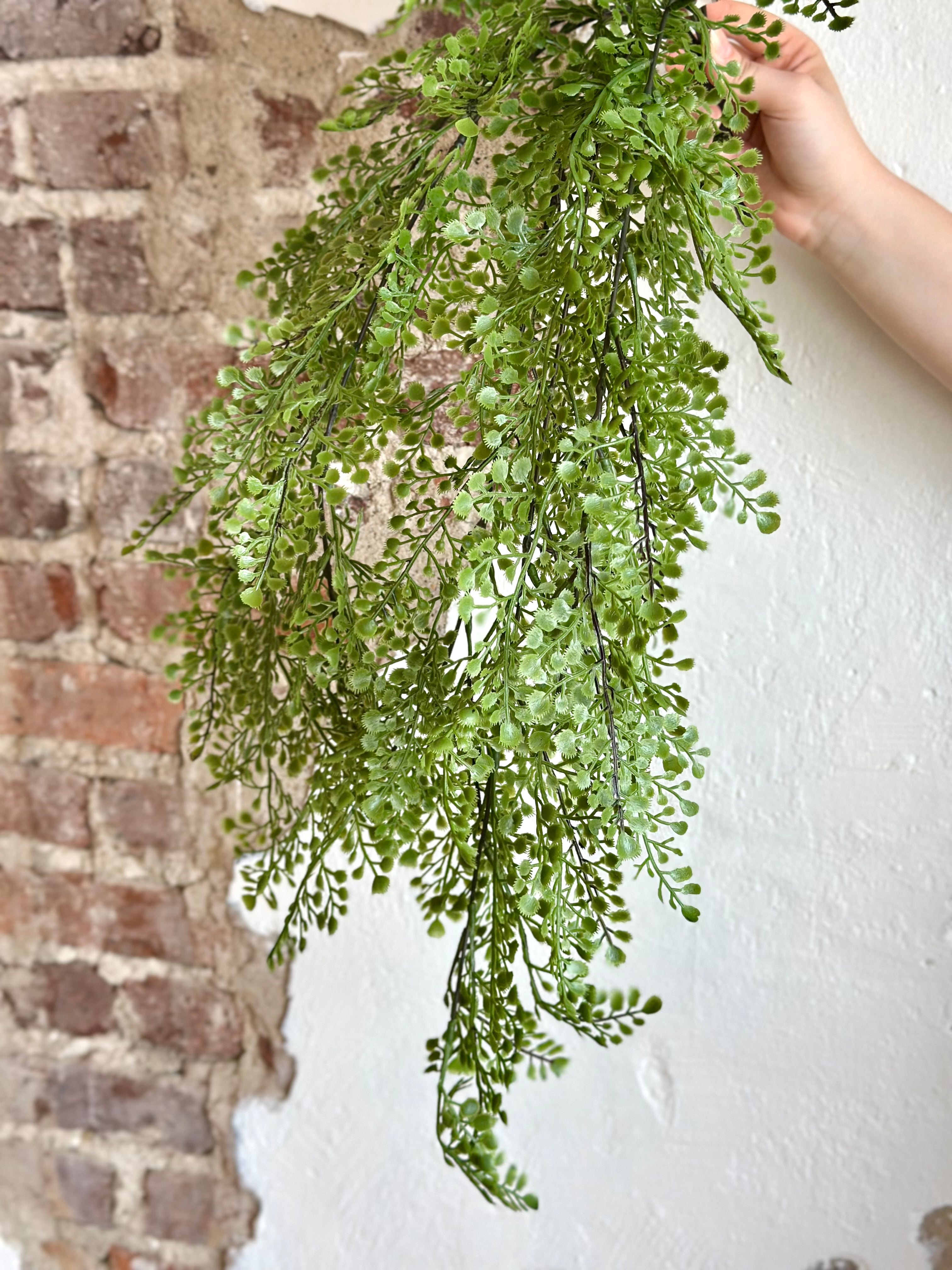 32" Hanging Maiden Hair