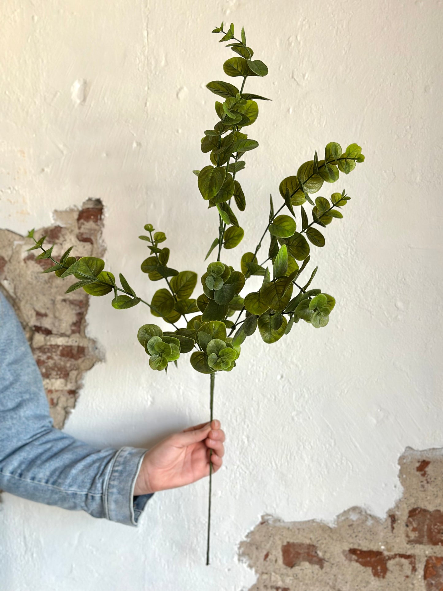 34" Eucalyptus Spray