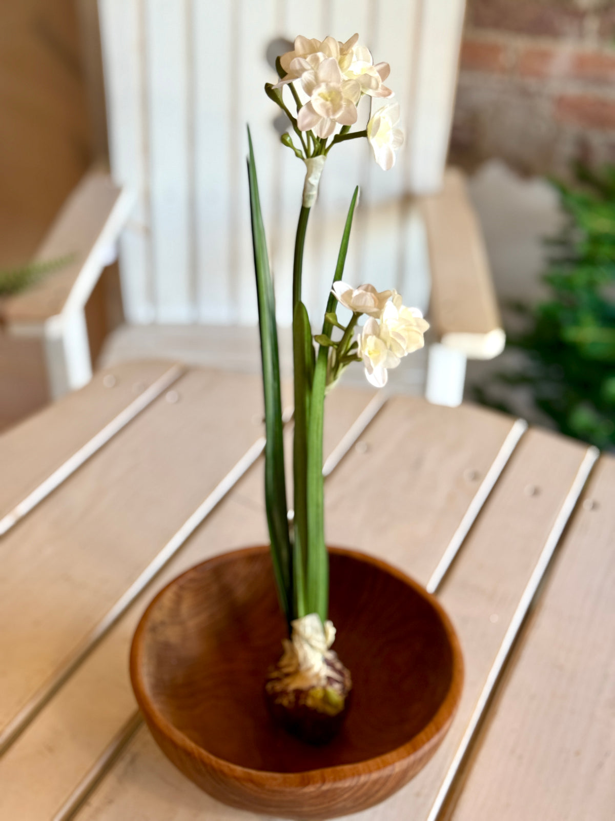 18" PAPERWHITE BULB