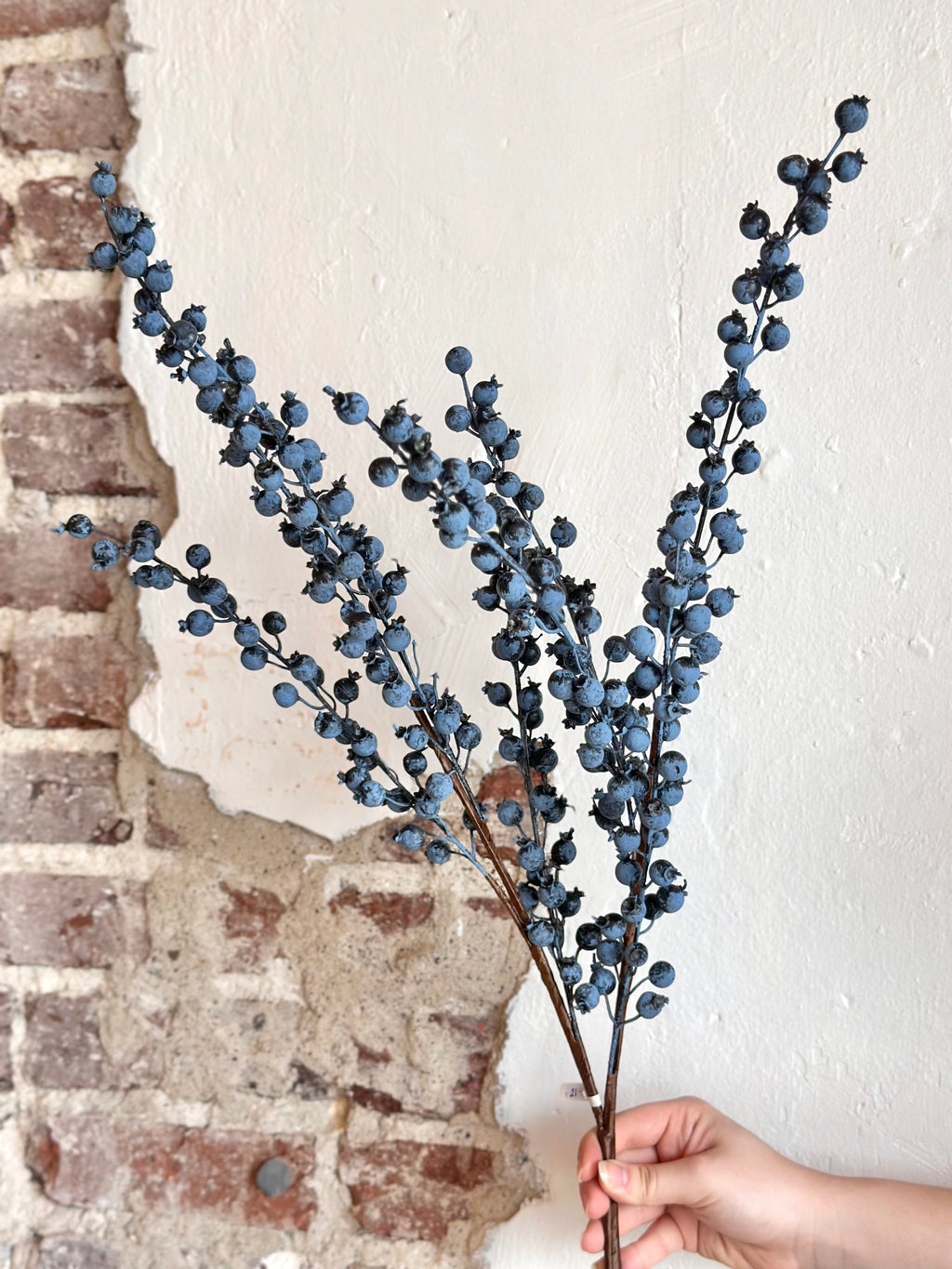 34” Berry Bush Blue - Outdoor