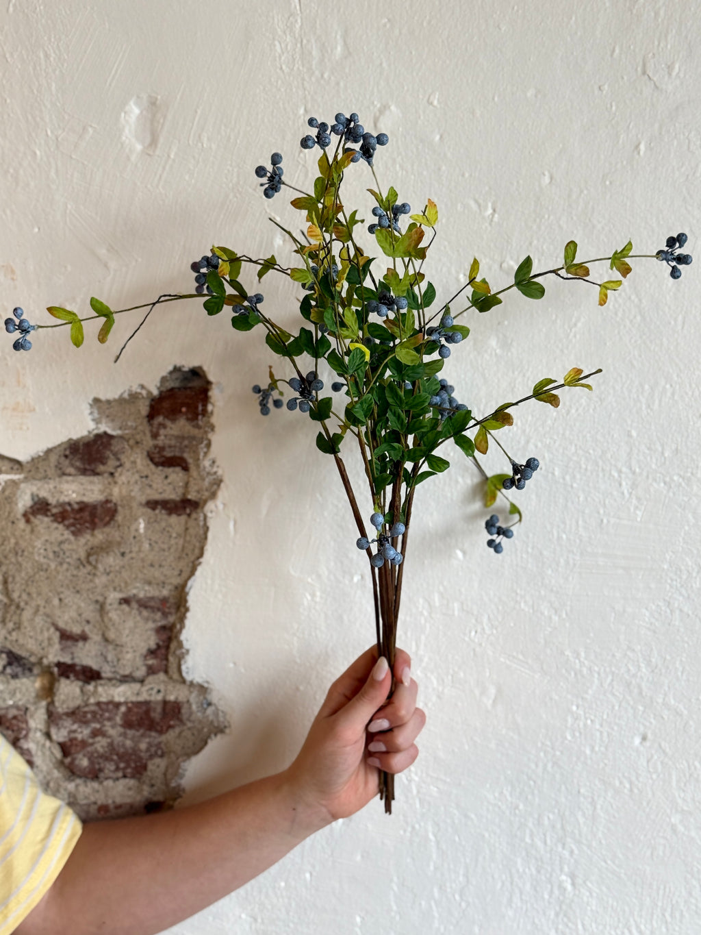 WILD BLUEBERRY BUNDLE X6 19"