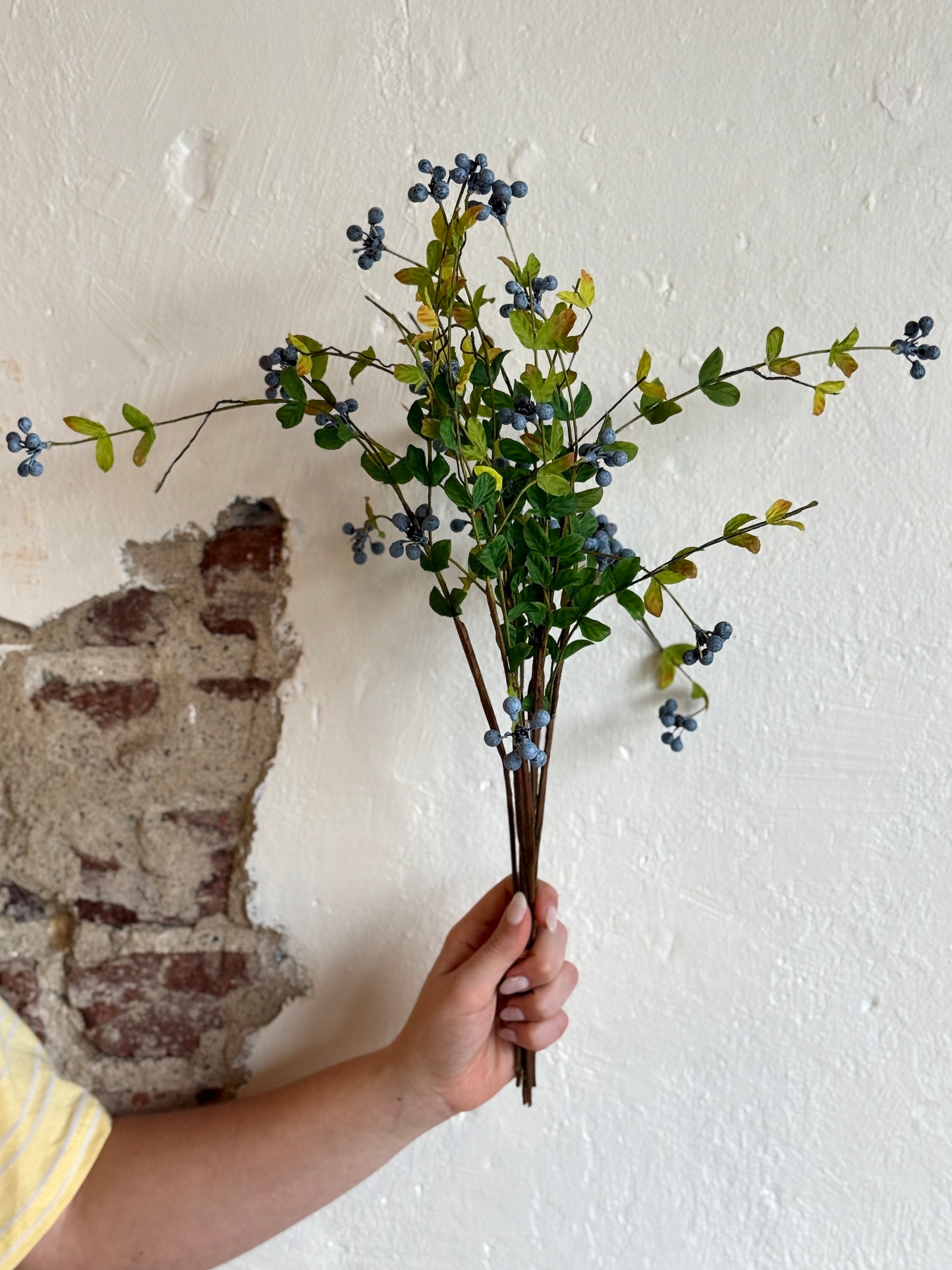 WILD BLUEBERRY BUNDLE X6 19"