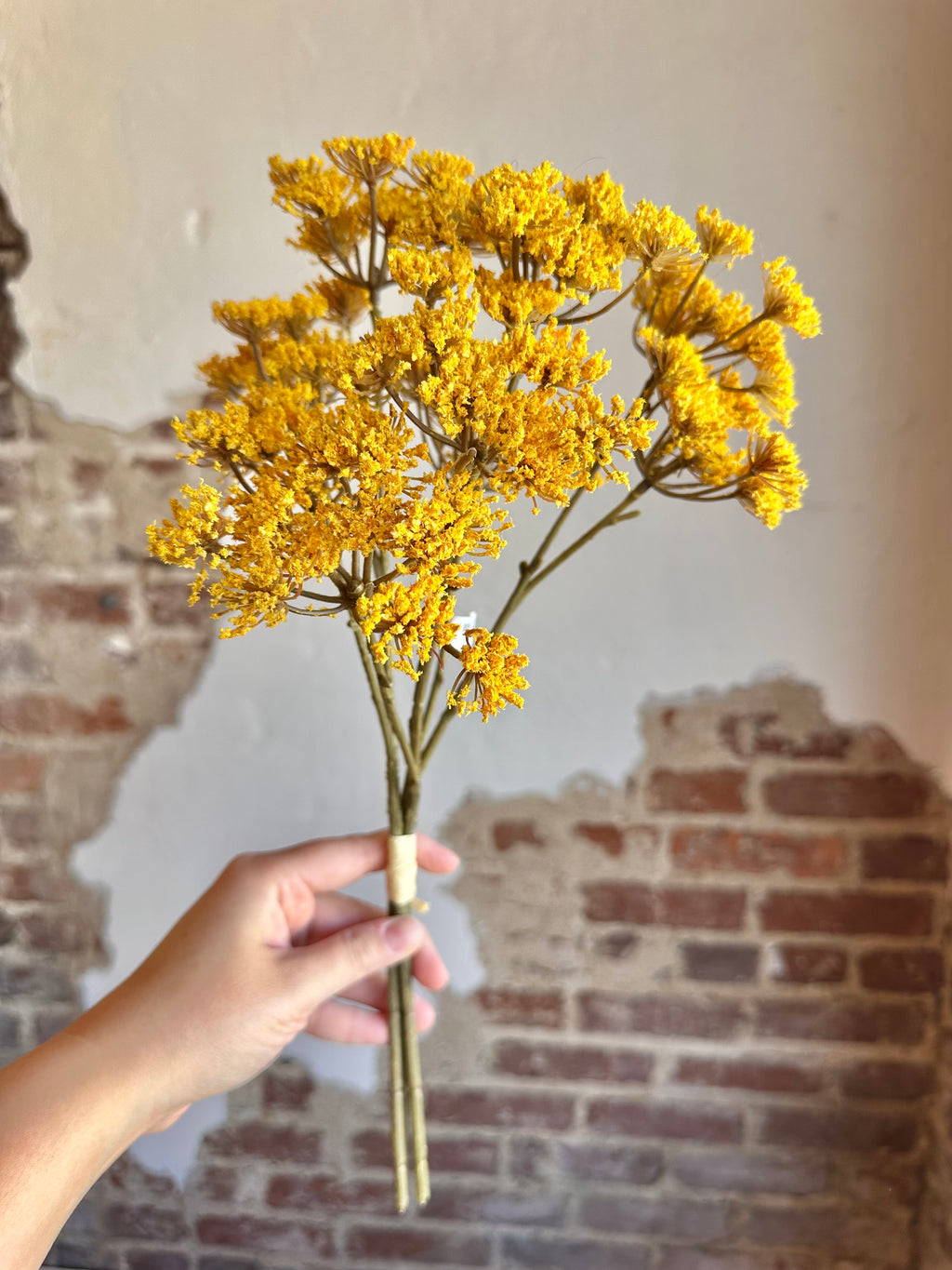 16" Yarrow Pick Bundle- Gold