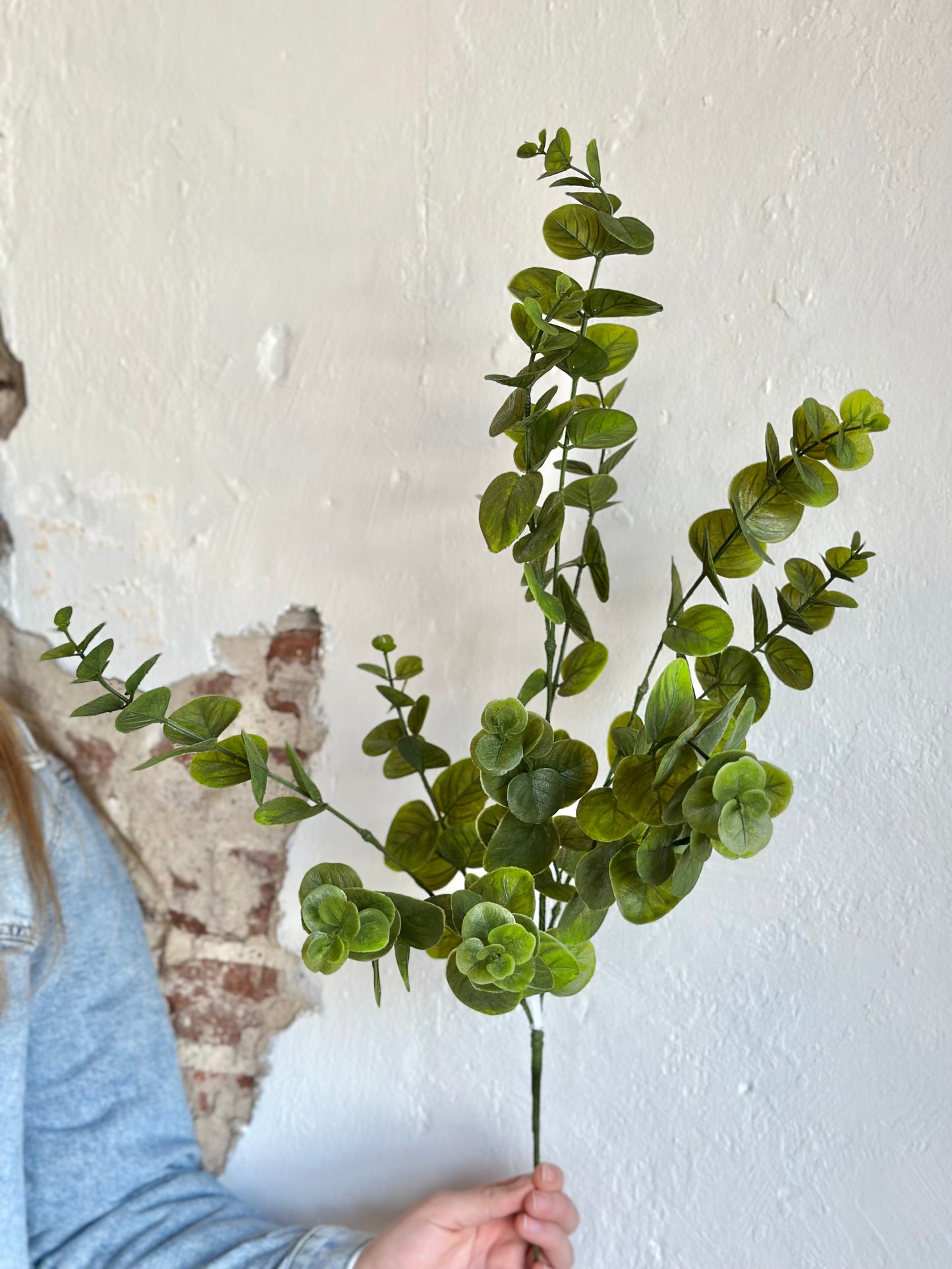 34" Eucalyptus Spray
