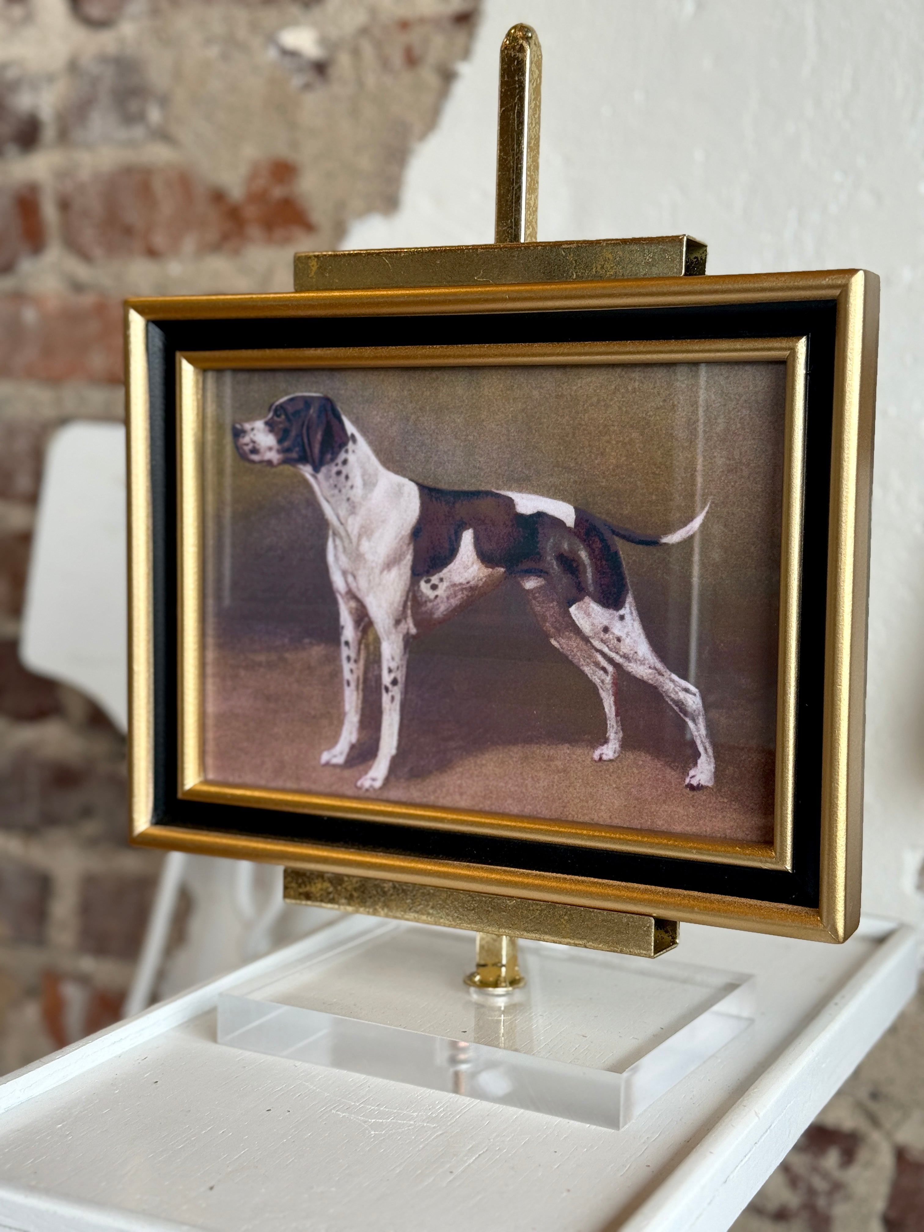 Classic Sporting Dog Framed Print