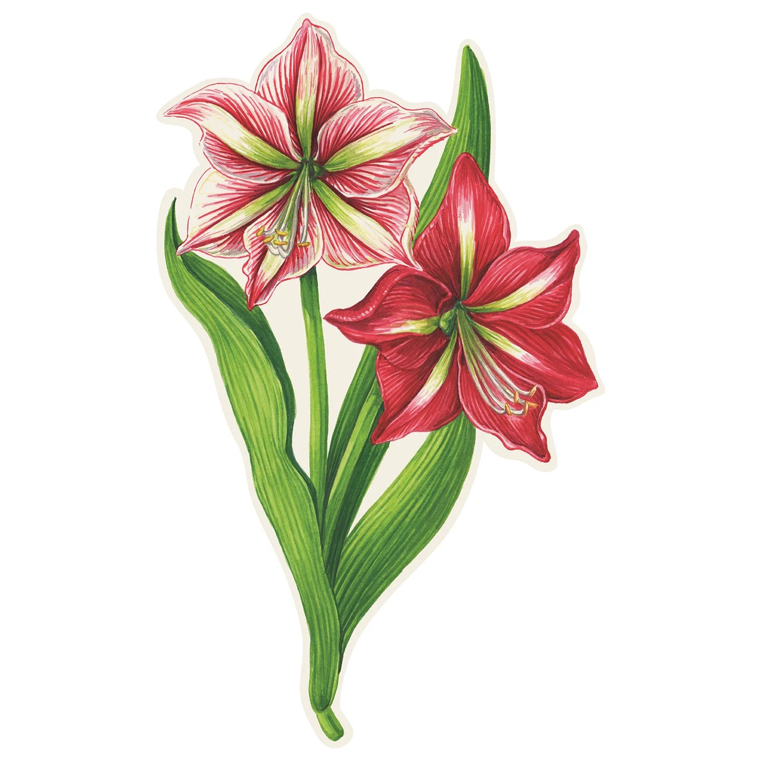 Hester & Cook “Amaryllis” Table Accent