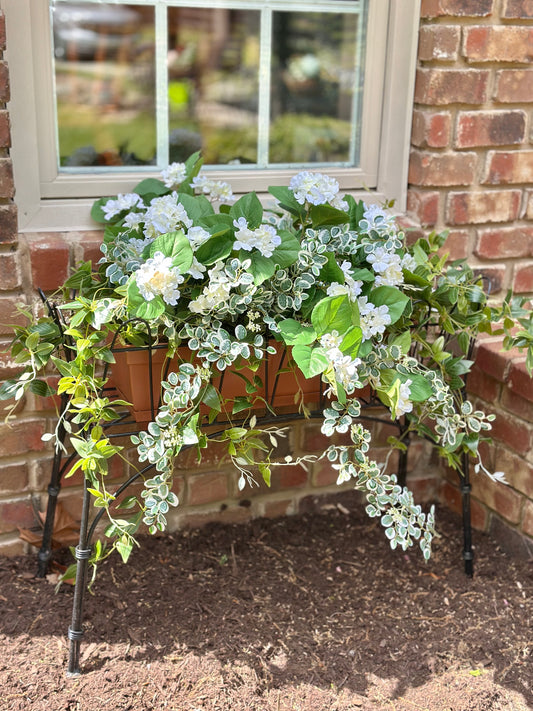 Window Box White Hydrangea & Buttonbush Plant