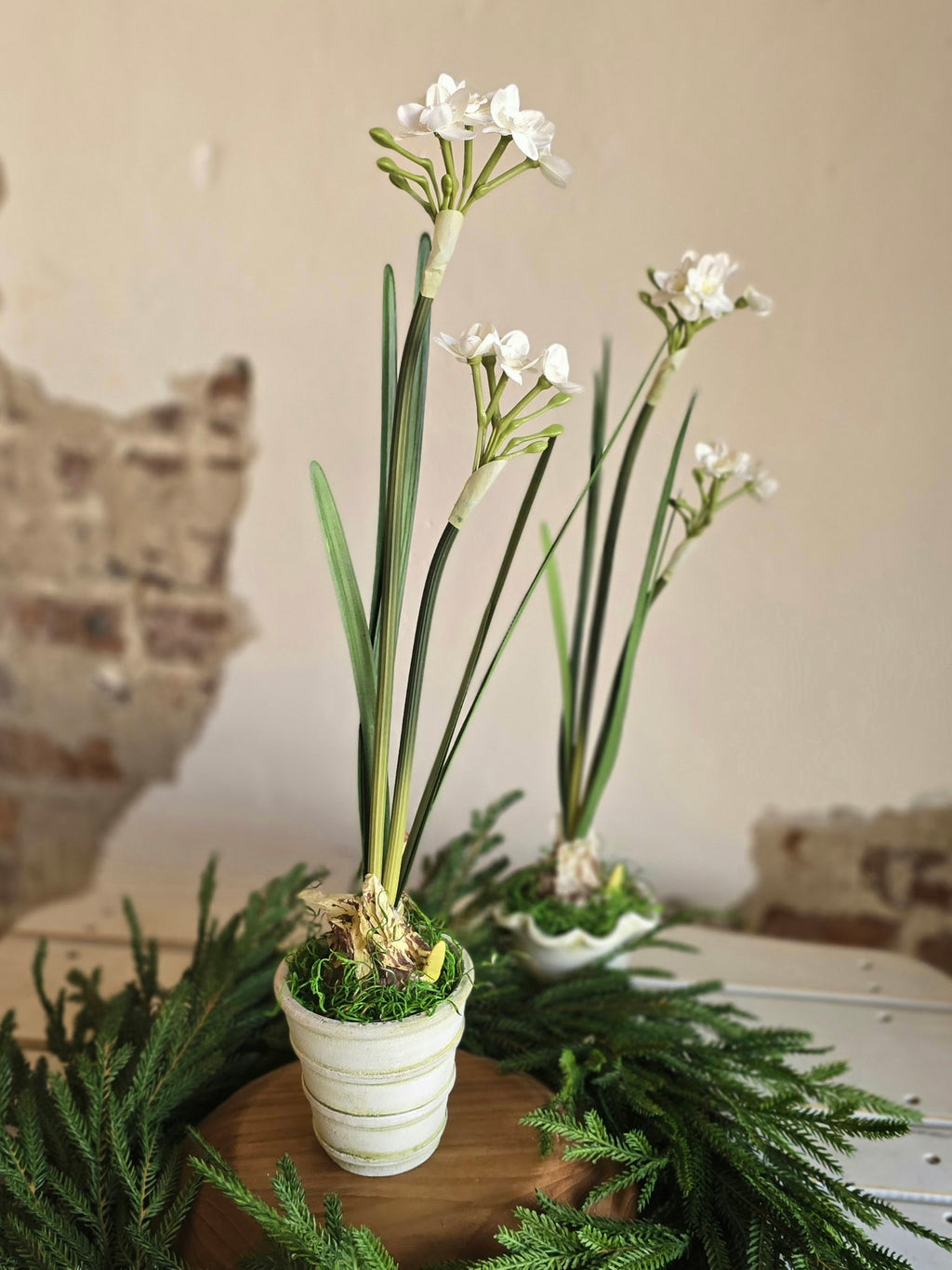 Paperwhite and Bulb Arrangement White Pot (Pot Design Options)