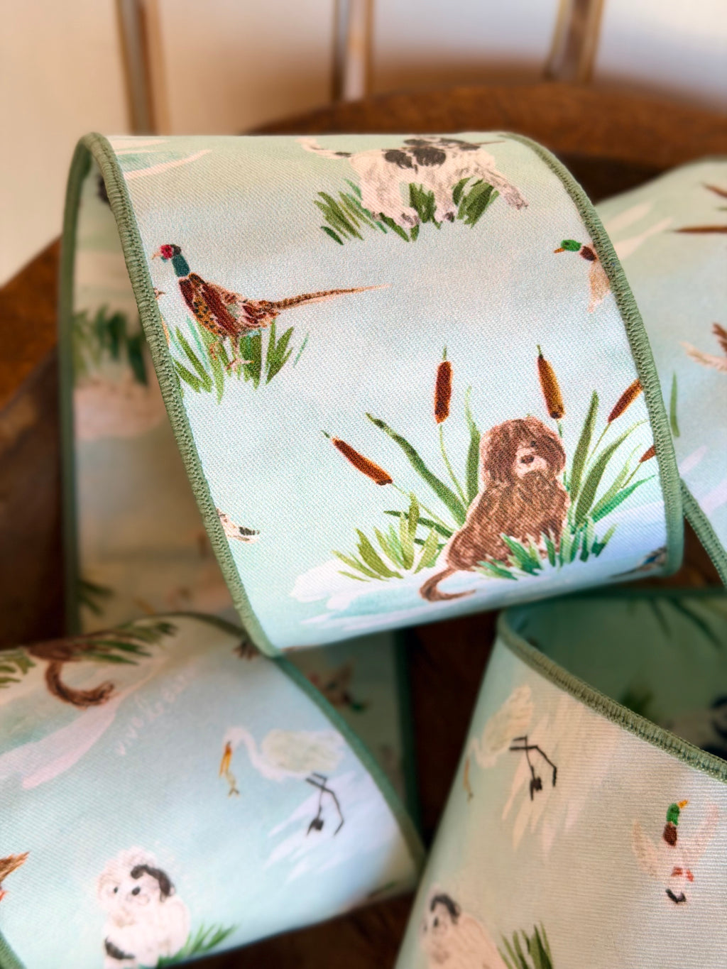 In the Wild Ribbon
