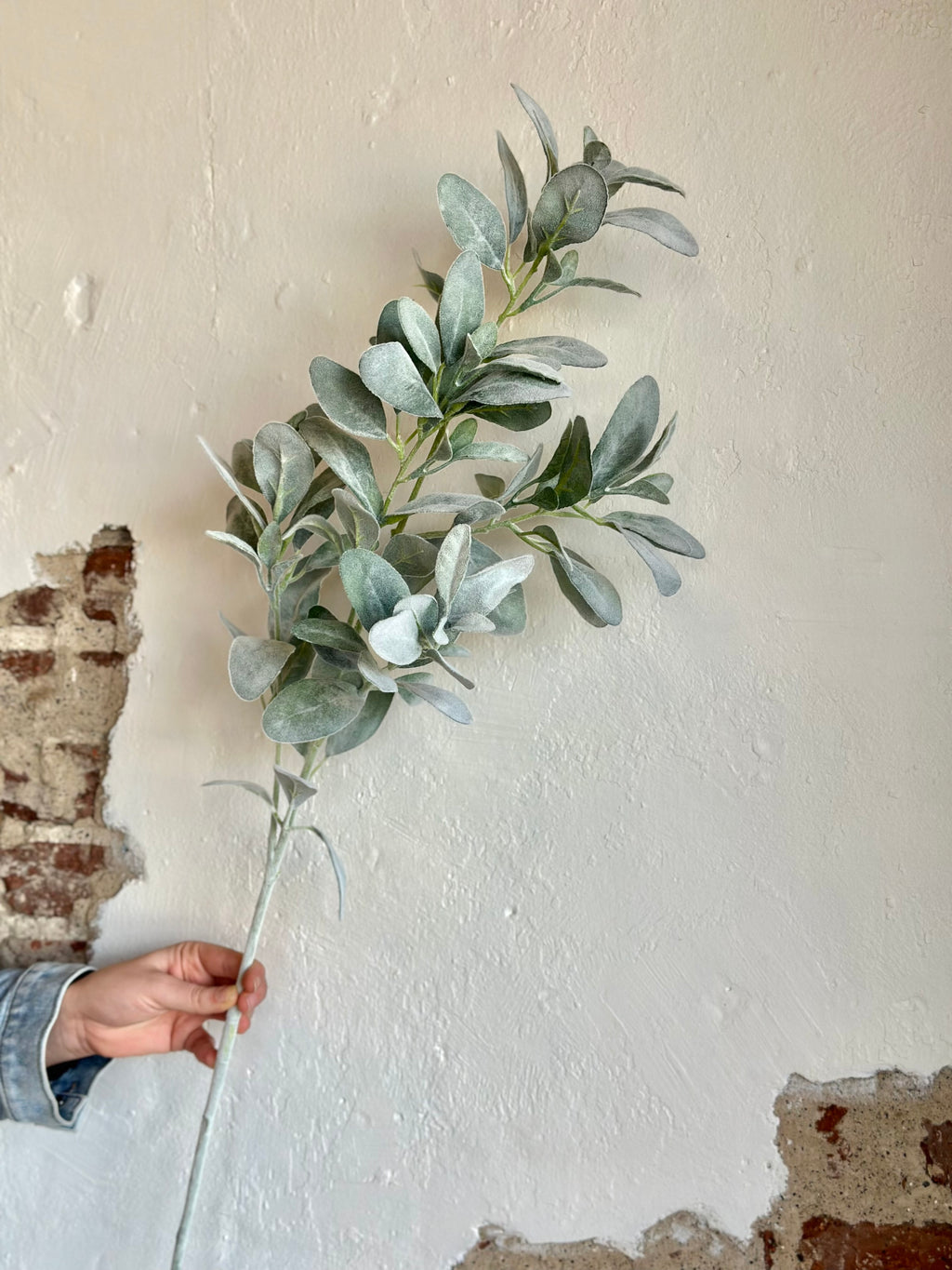 LAMB'S EAR SPRAY 44" SAGE