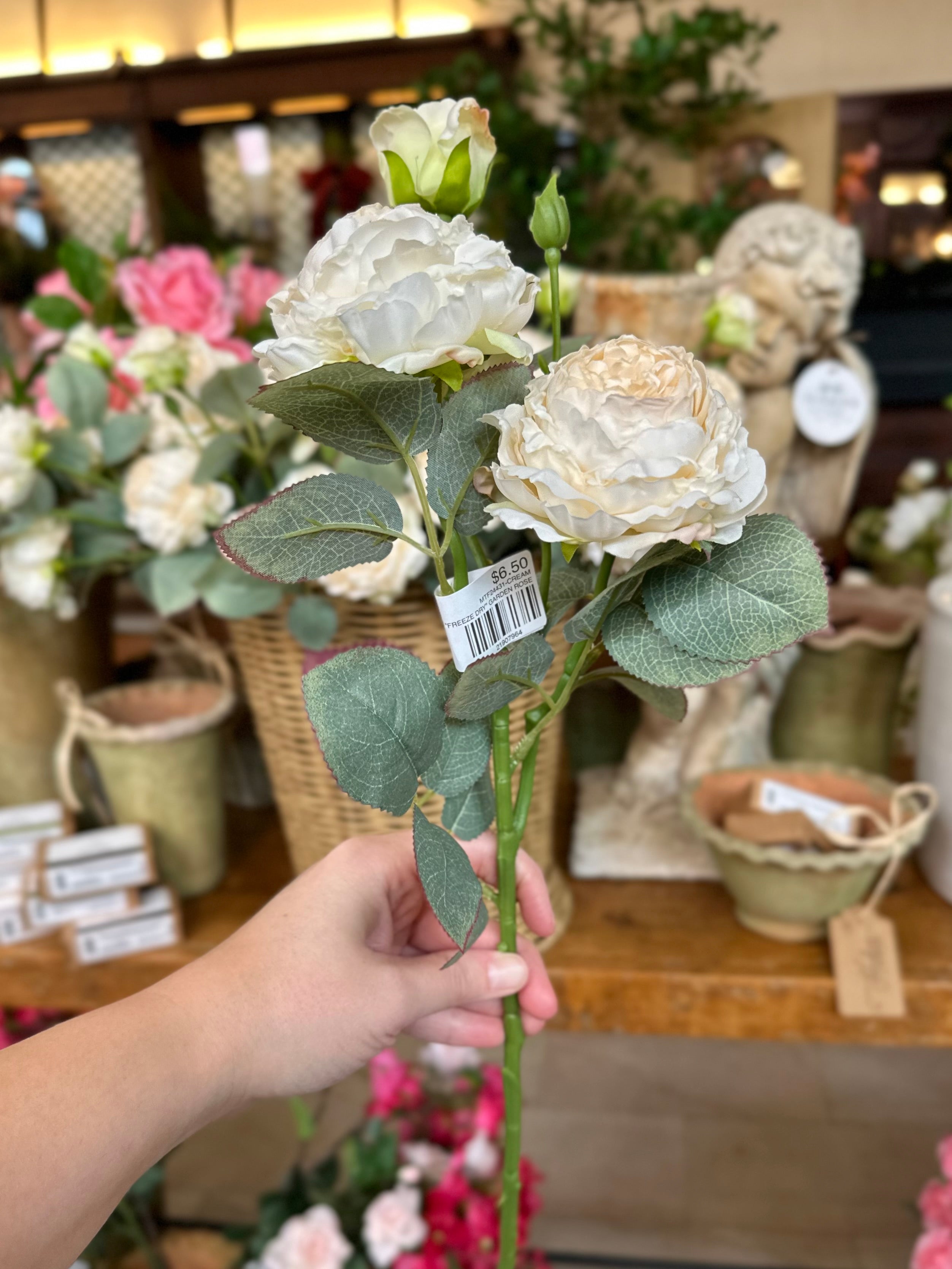 21" VINTAGE "FREEZE DRY" GARDEN ROSE- CREAM