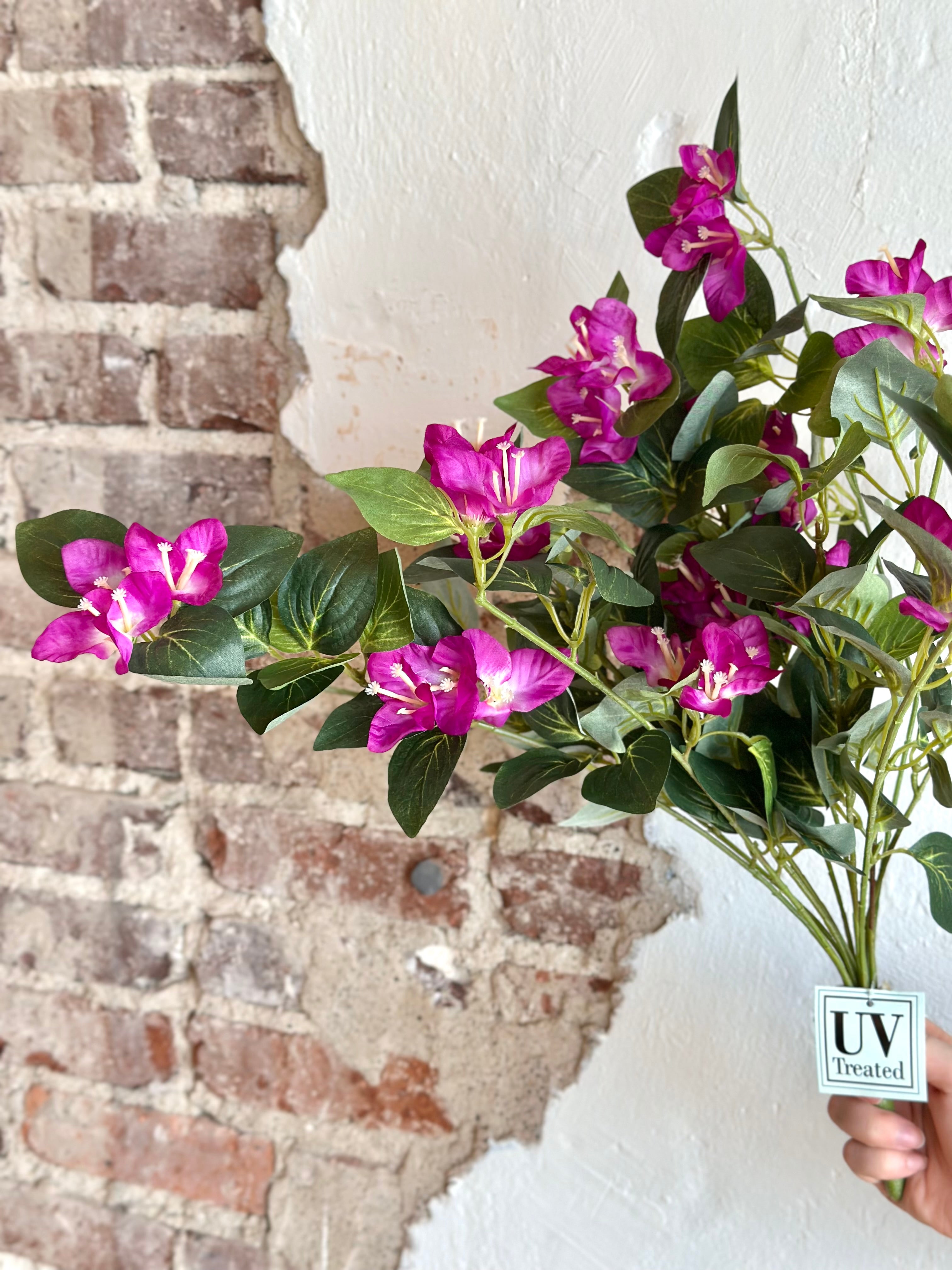 25" UV-Rated Hanging Bougainvillea Plant