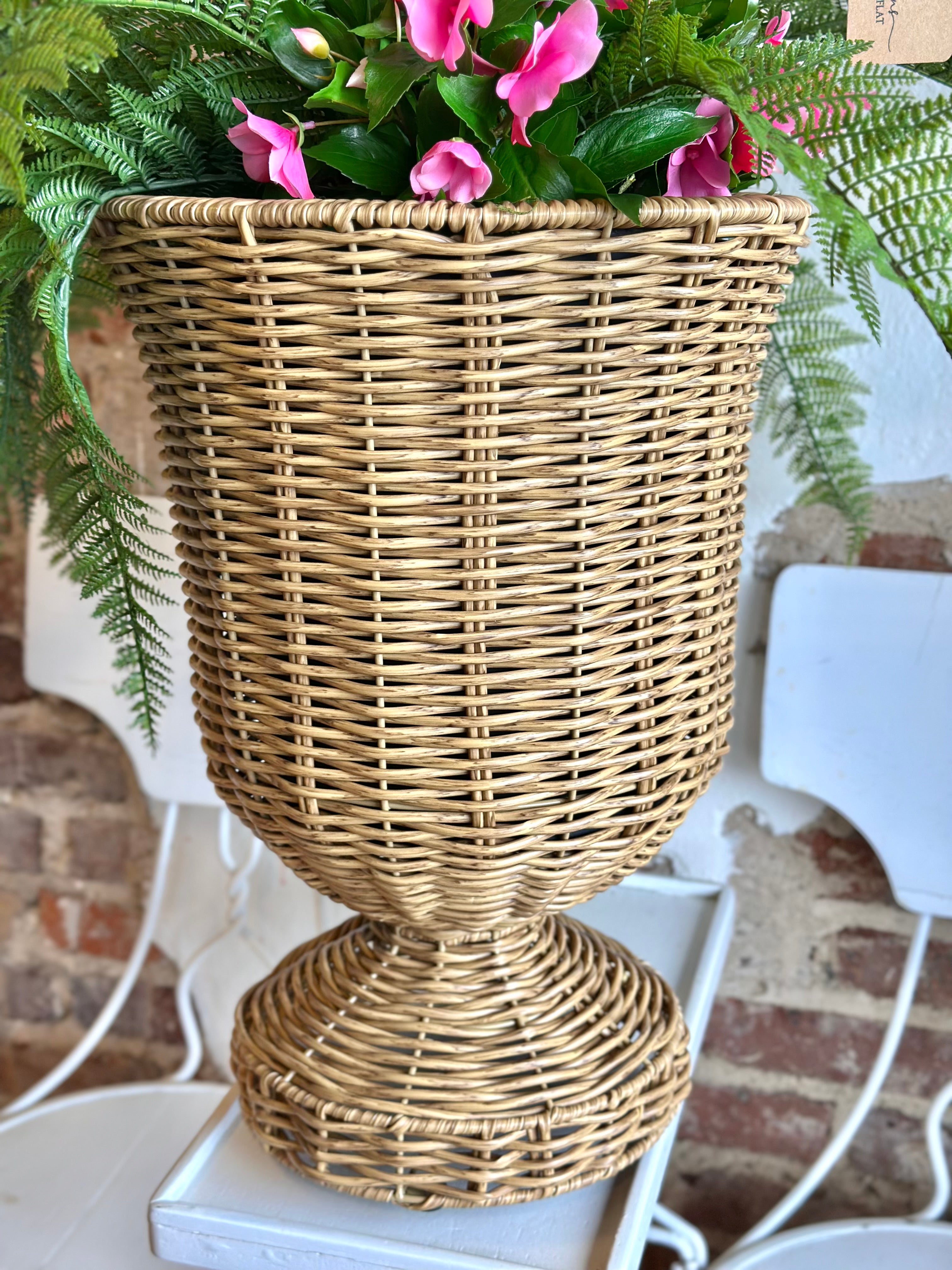 UV Pink Impatiens & Fern Potted Arrangement