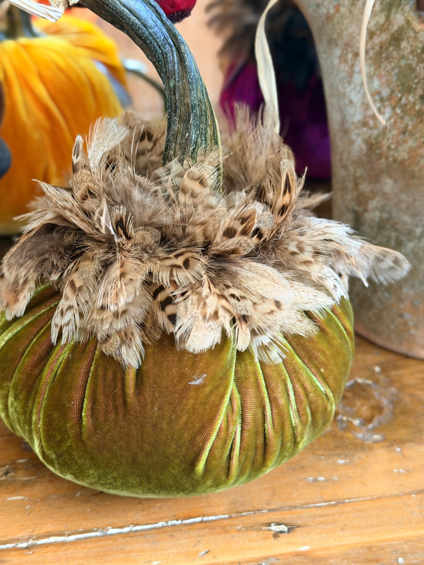 6" Cactus Velvet Pumpkin with Natural Ringneck Pheasant Collar
